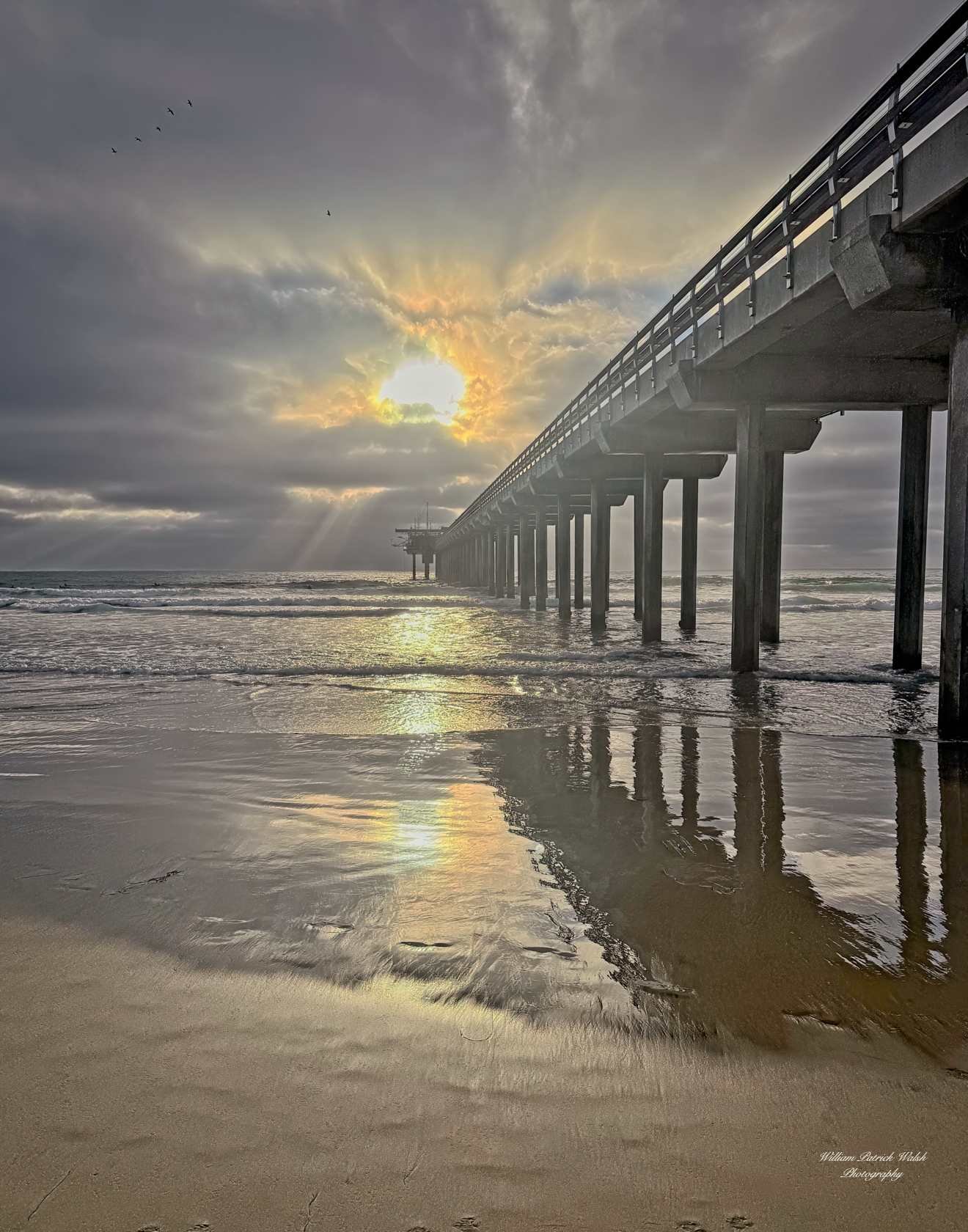 Scripps Pier 18 (14x11)