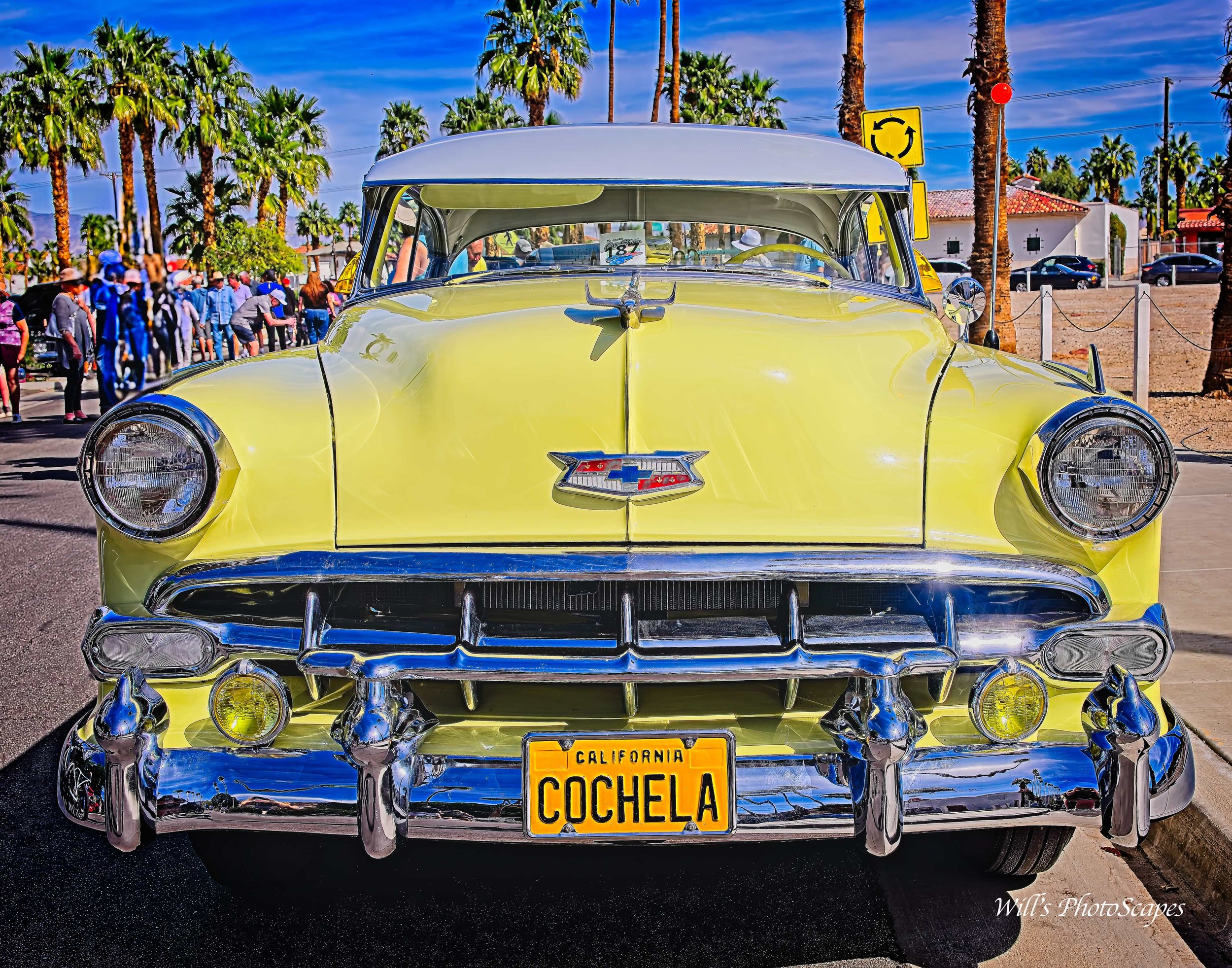 Cochela Chevy (11x14)