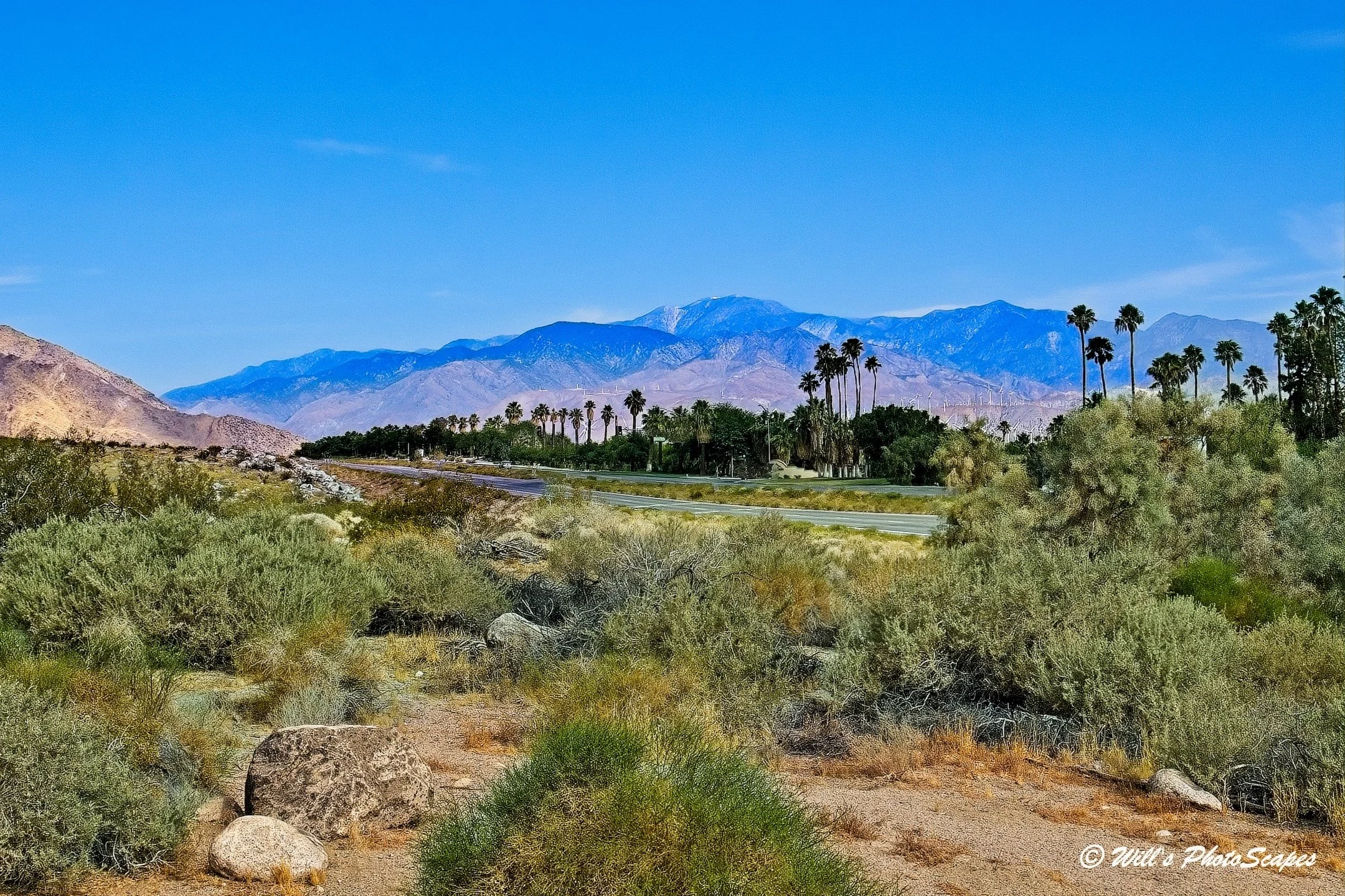 North Palm Canyon Drive (12x18)