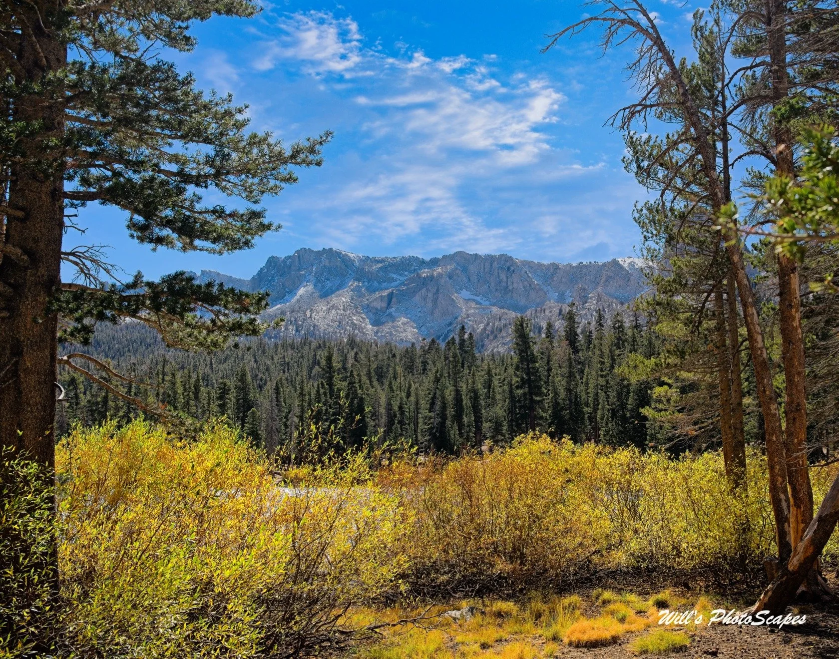 Autumn Sierra (11x14)