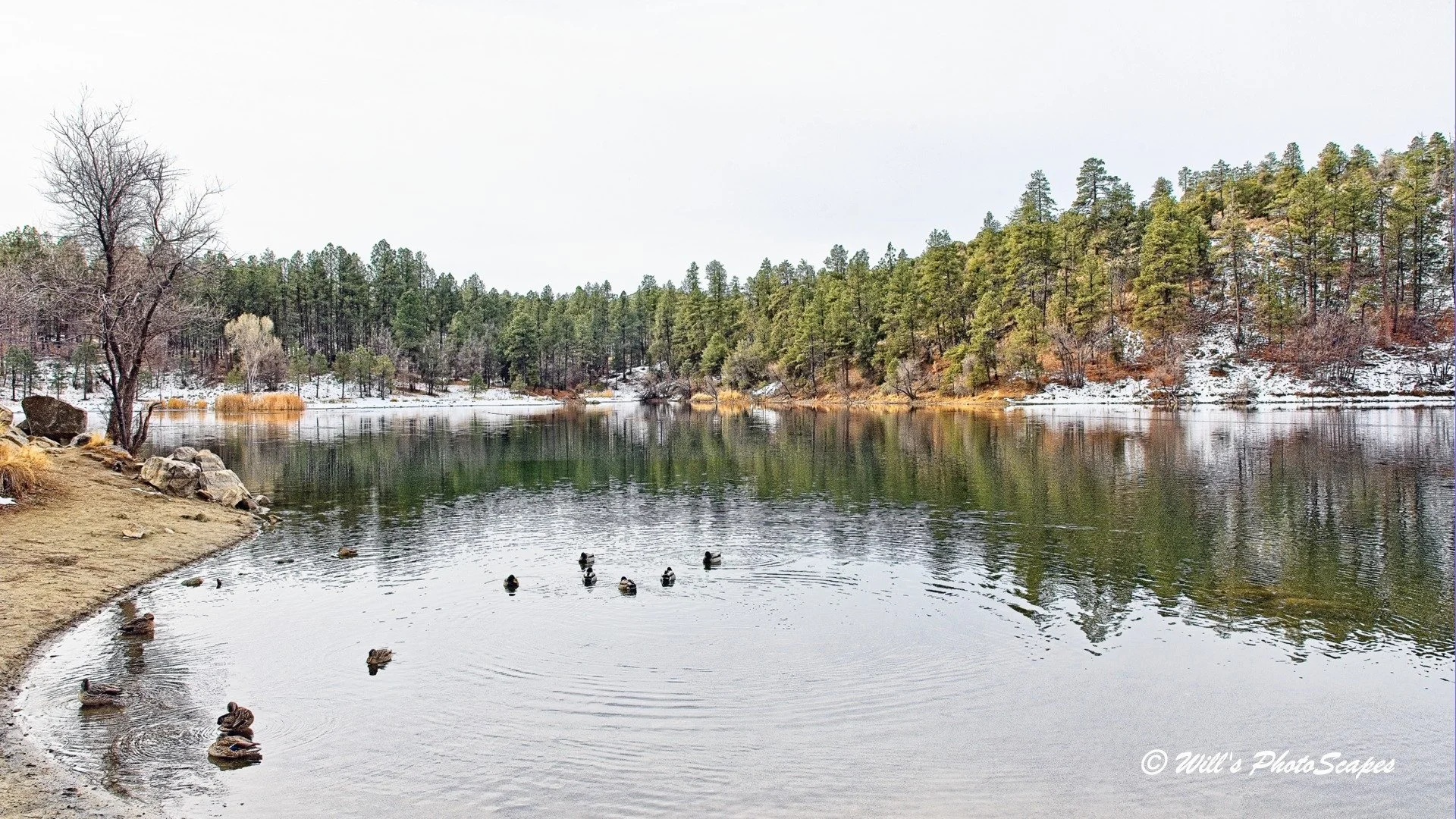 Goldwater State Park in Winter (9x16)