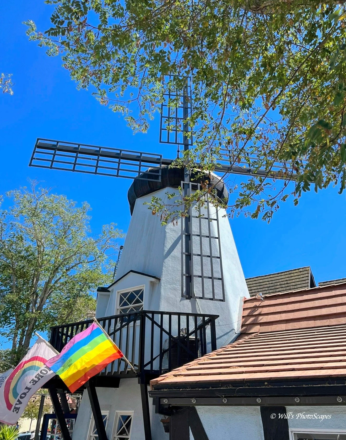 Solvang Windmill (14x11)