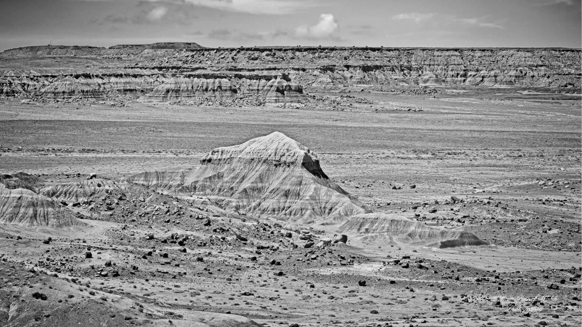 Ghosts of the Petrified Forest (9x16)