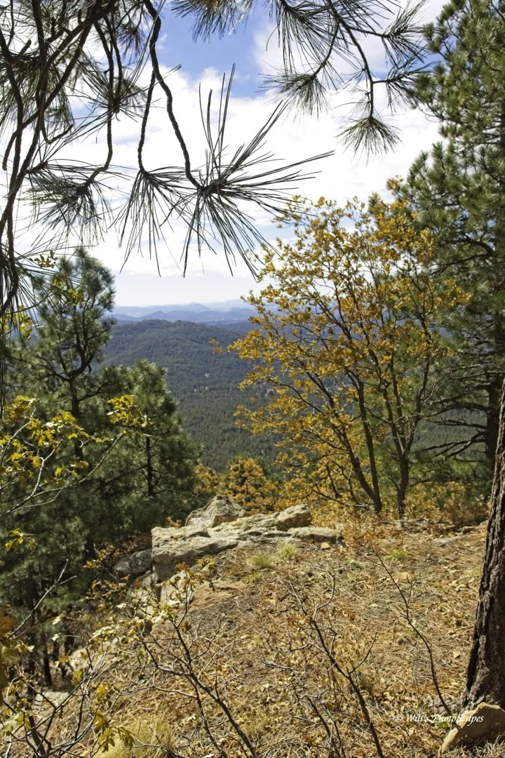 Mogollan Rim Portrait (18x12)