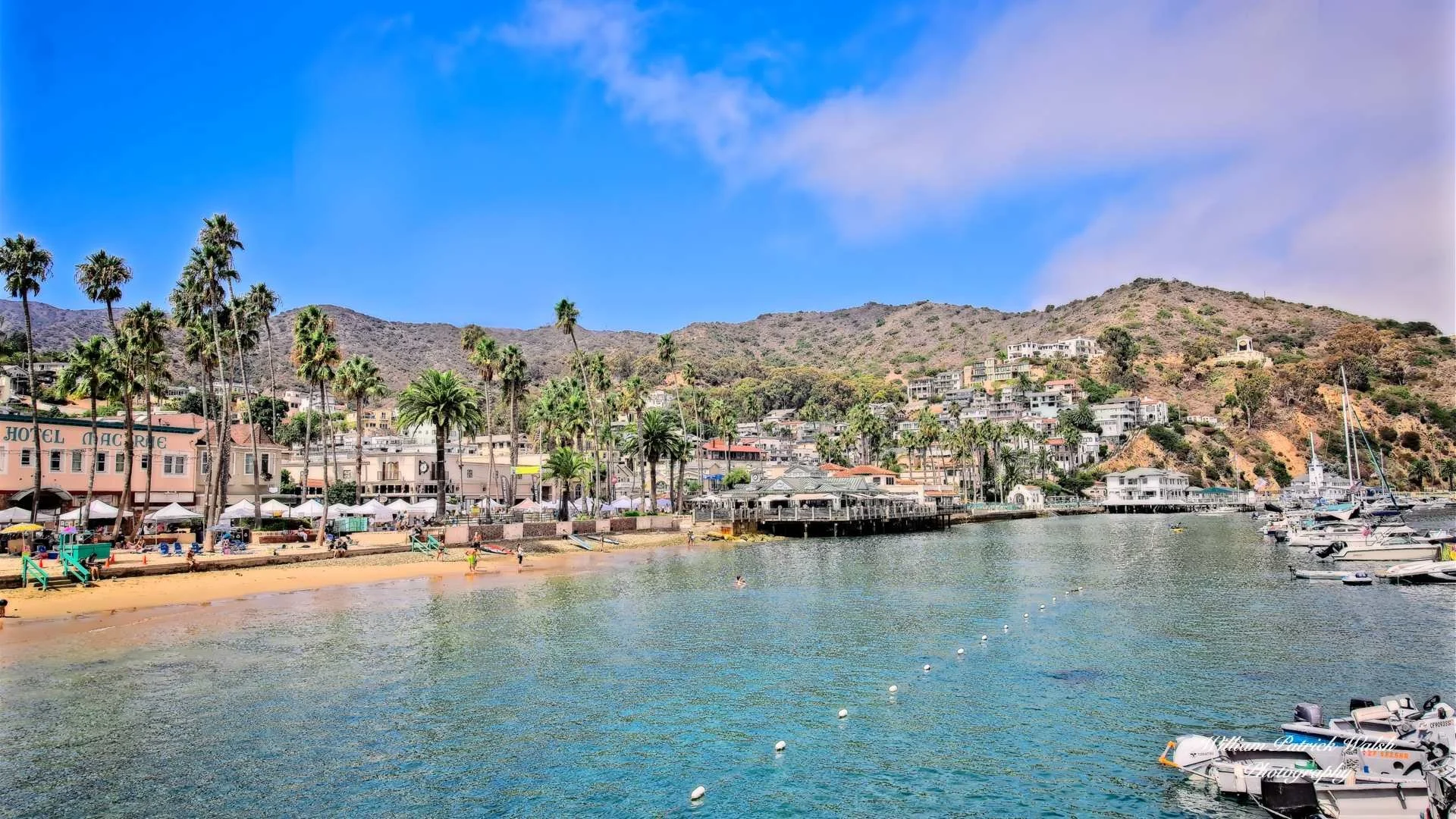 Catalina Harbor (9x16)