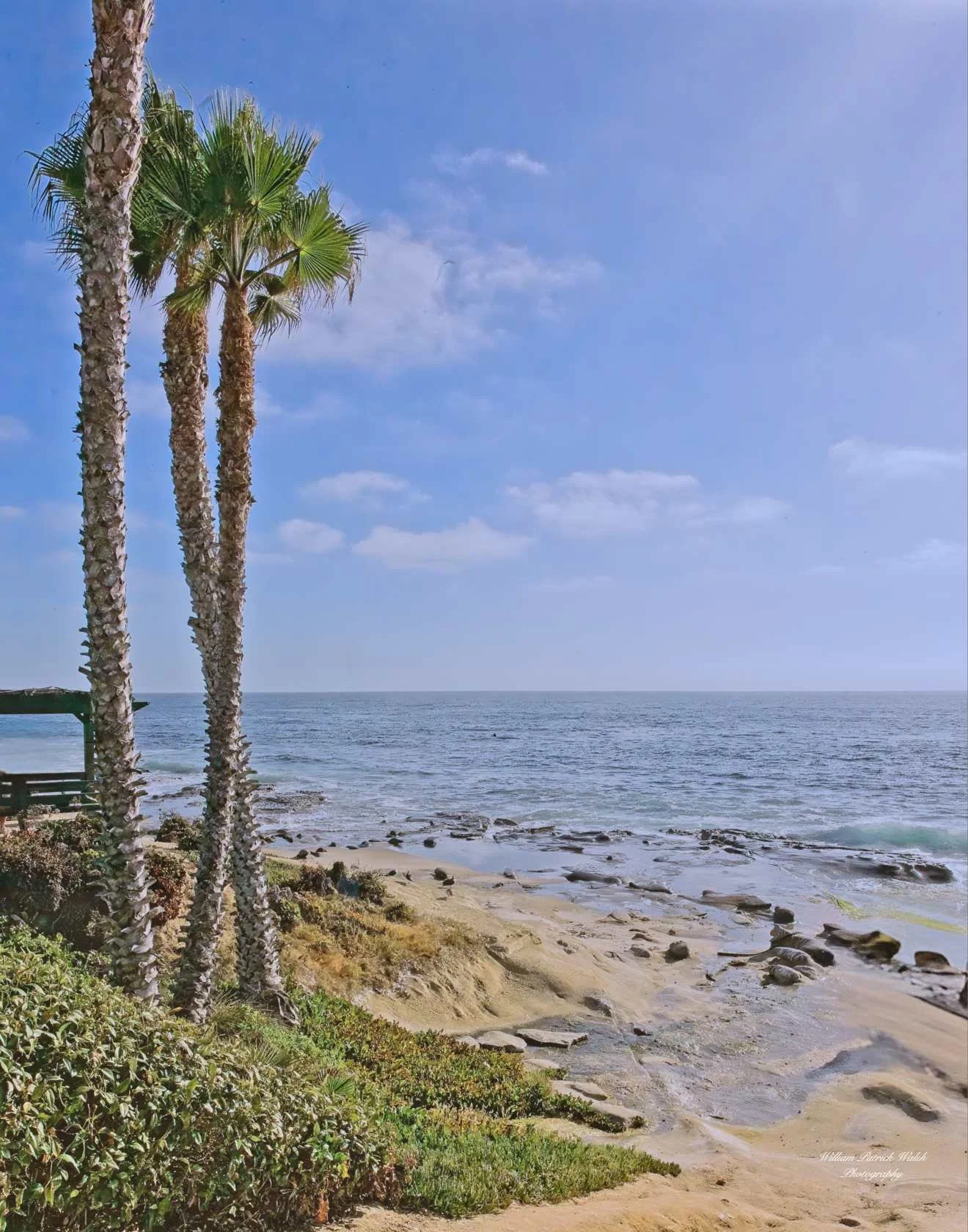 La Jolla Beach 1 (14x11)
