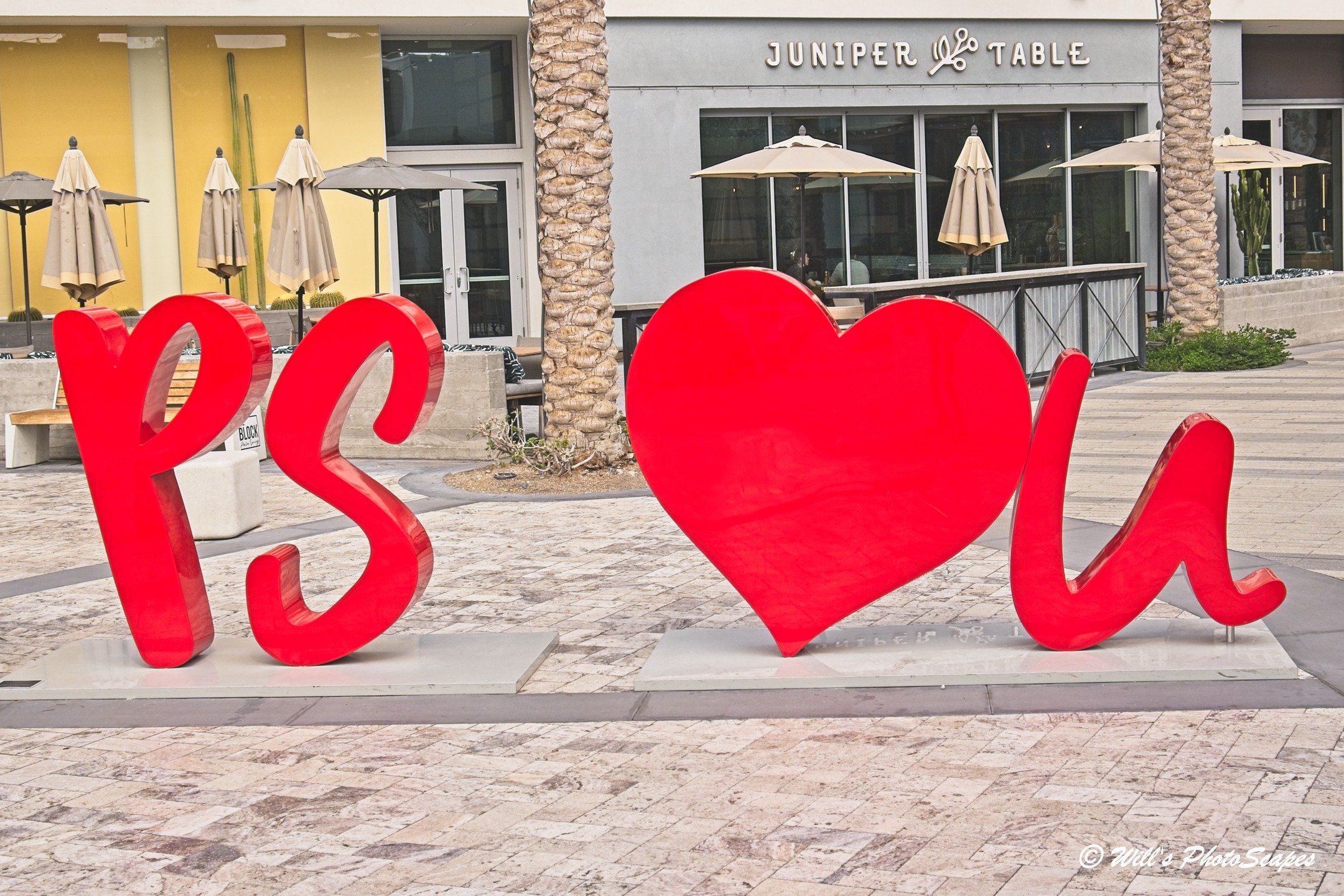 Palm Springs Loves You (12x18)