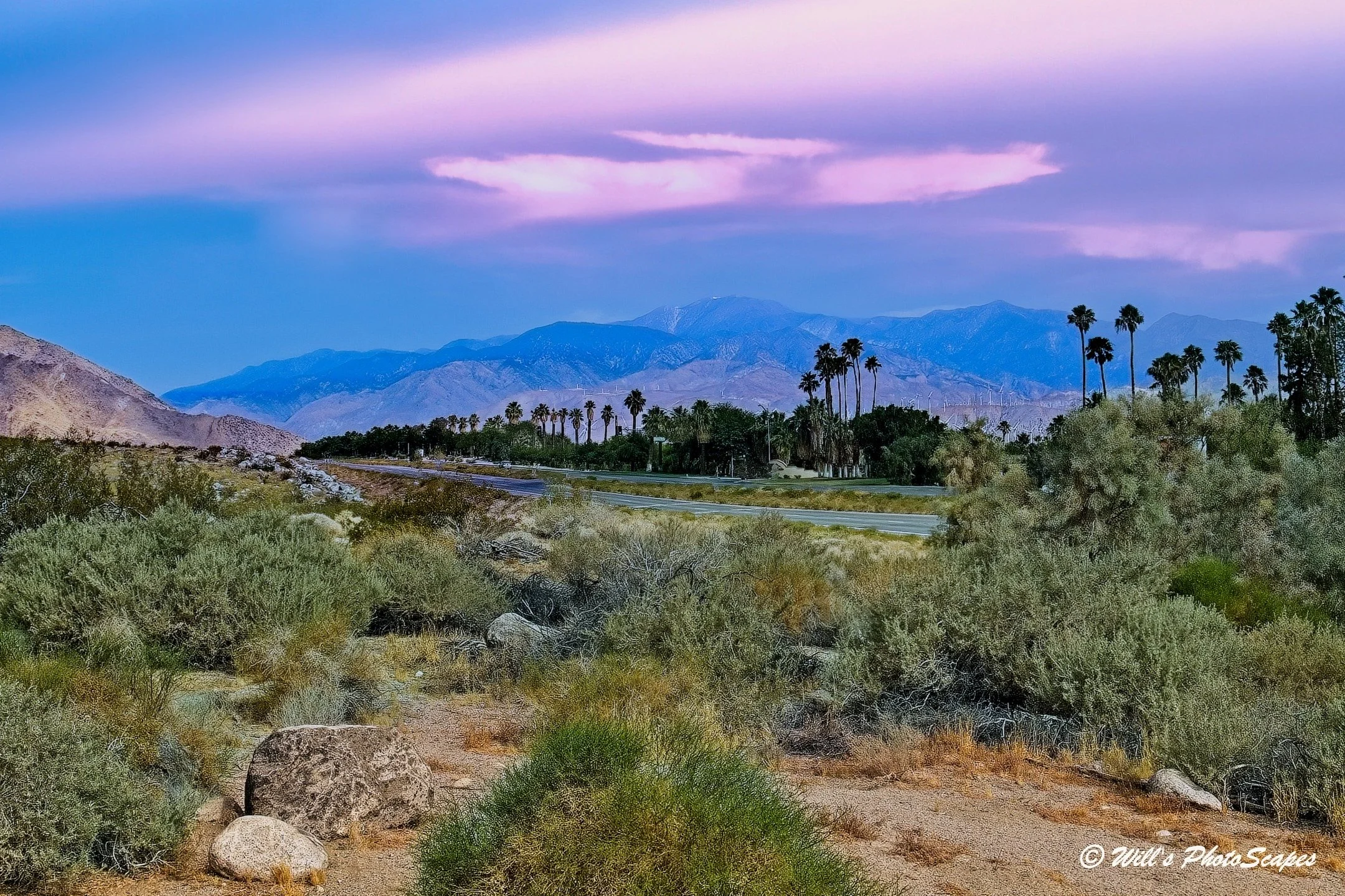 Palm Springs Western View (12x18)
