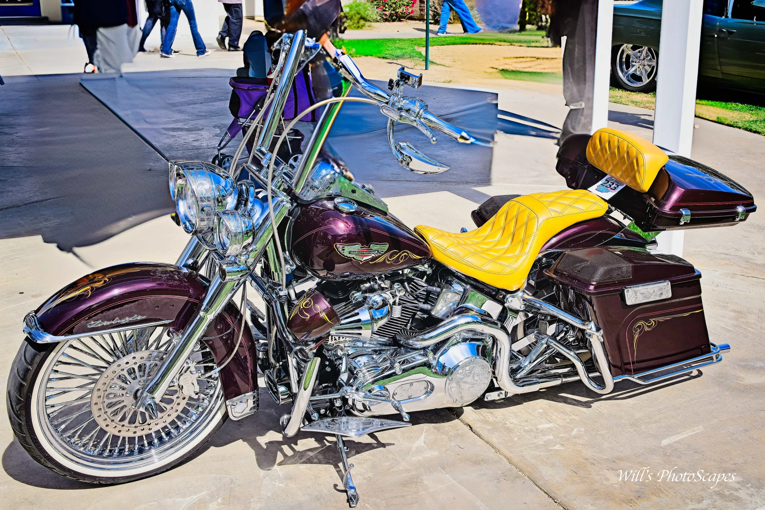 HD Cruiser (12x18)