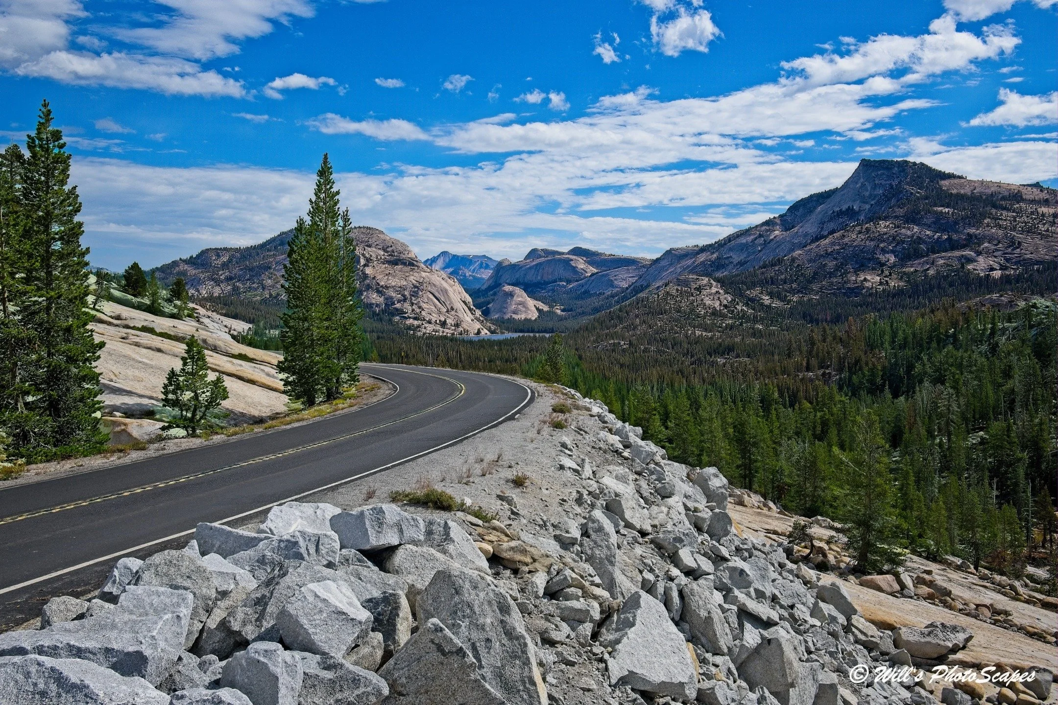 Tioga Pass Road (12x18)