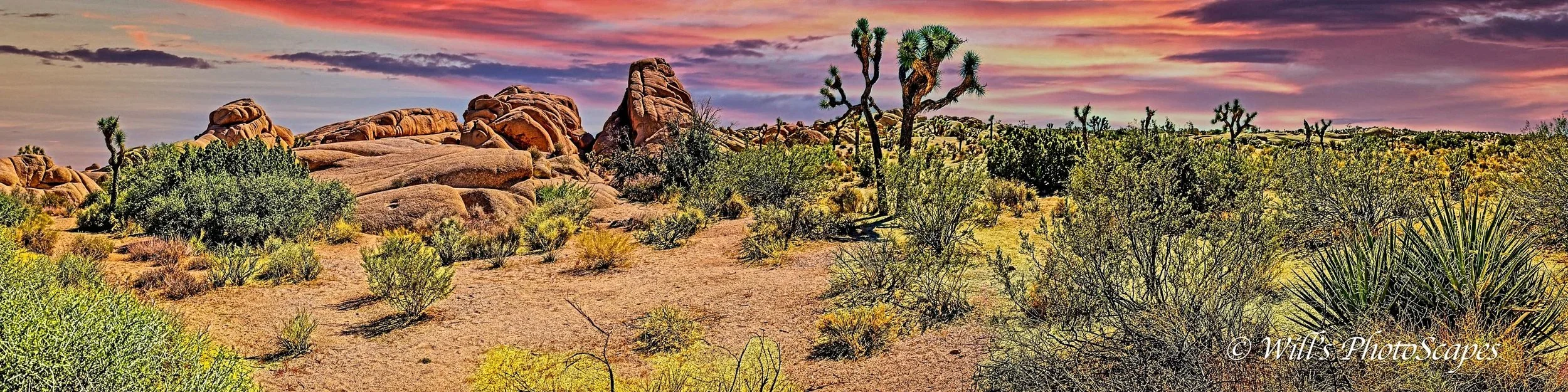 Sparks (9x36 -panoramic)