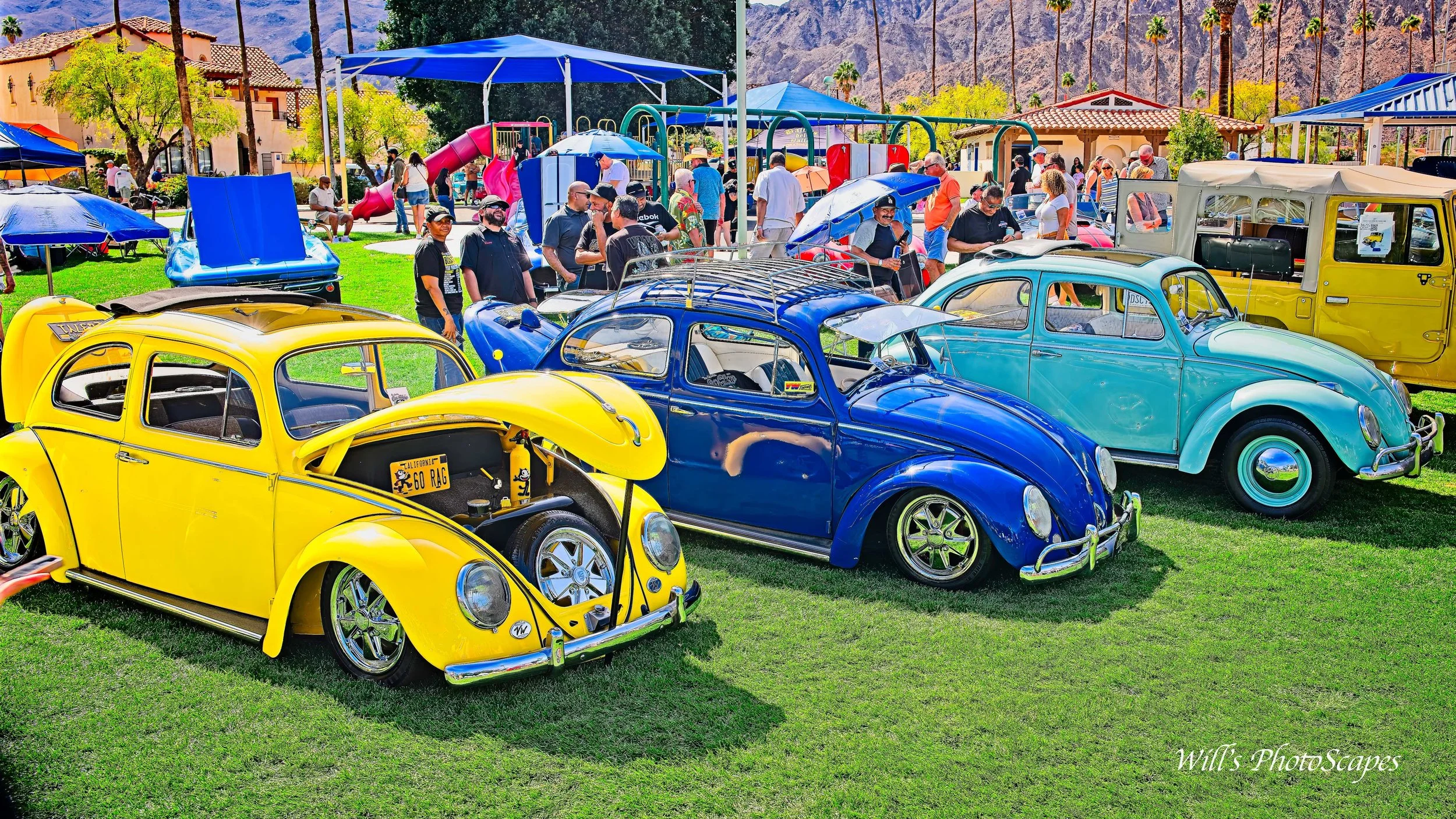 Bugs (9x16)