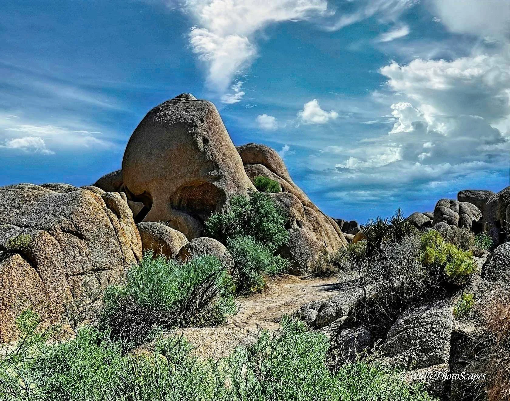 Skull Rock at Joshua Tree (11x14)