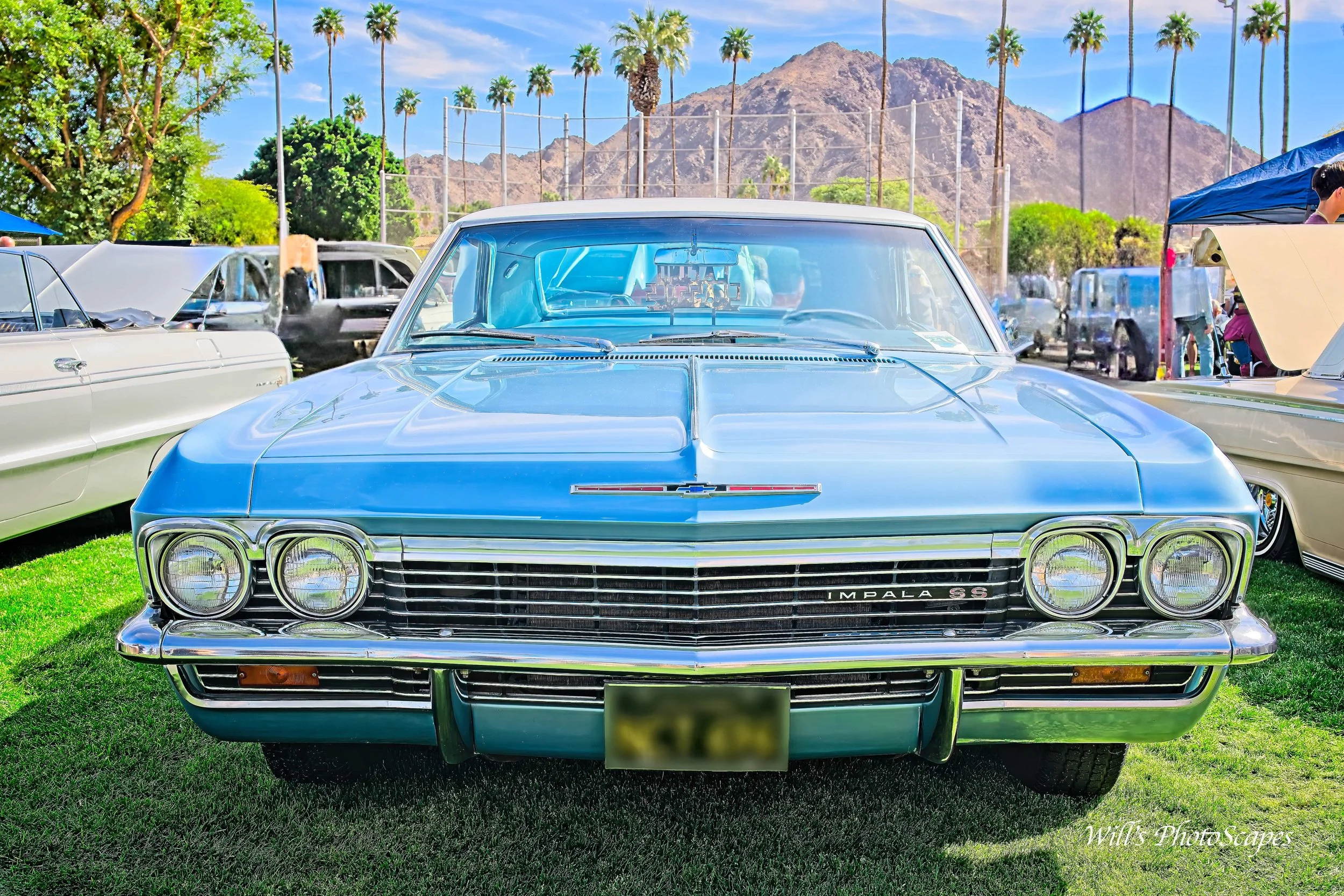 Impala SS Grill (121x18)