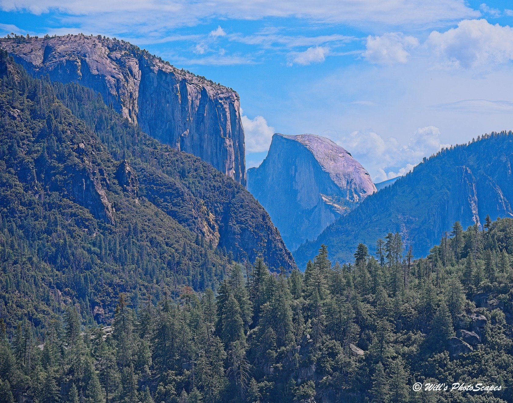 Yosemite - Half Dome (11x14)