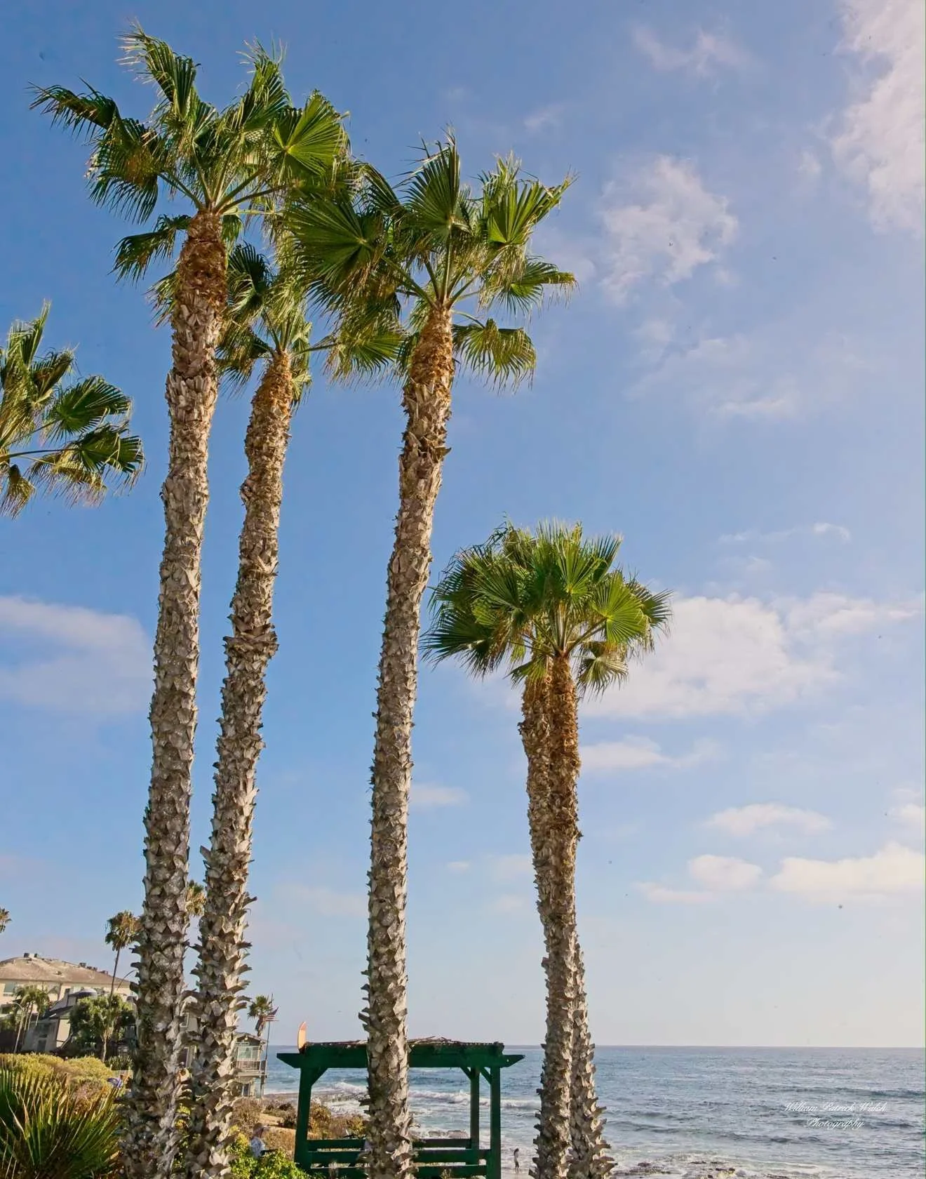La Jolla Beach 2 (14x11)