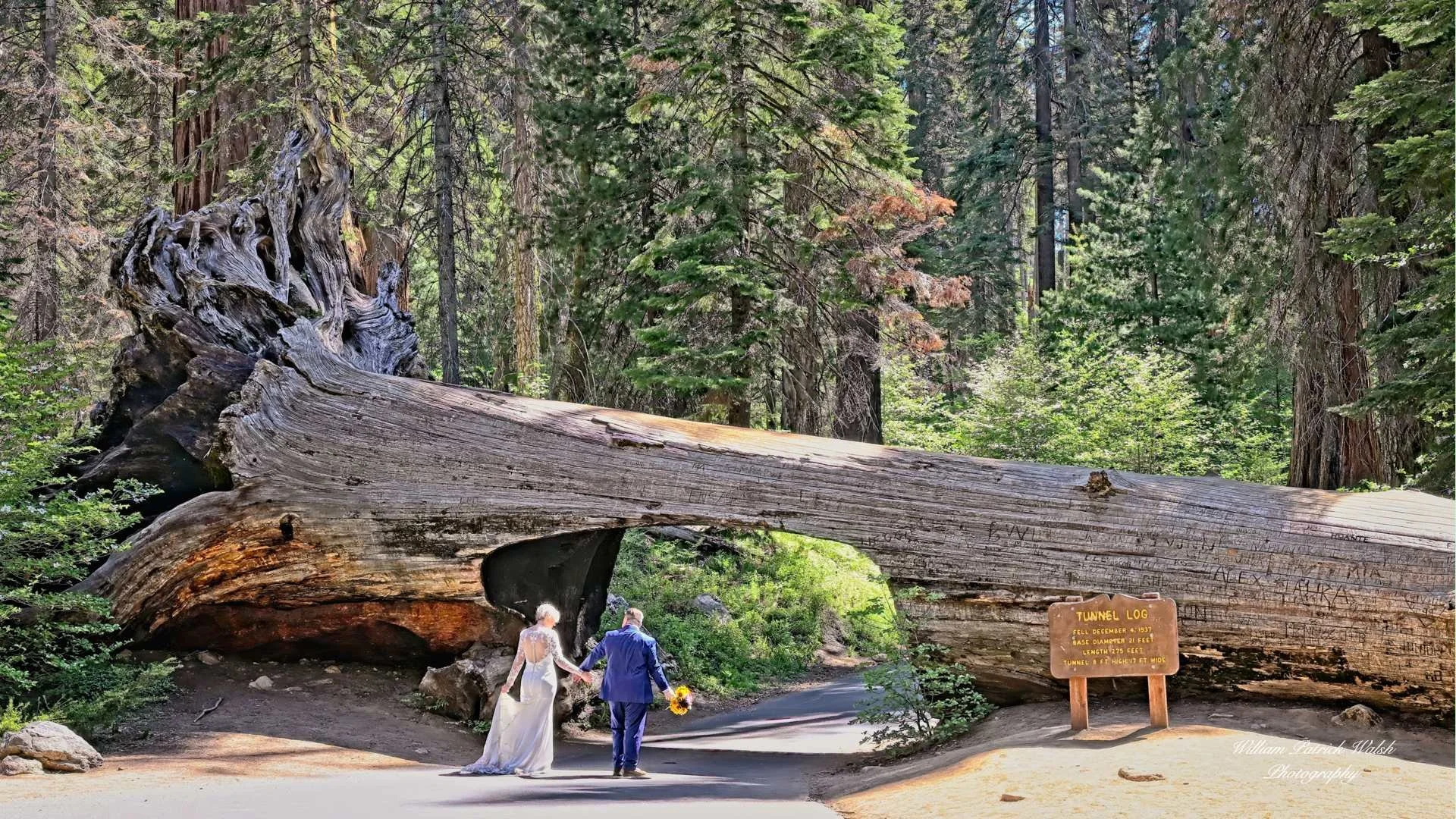 Tunnel of Love (9x16)