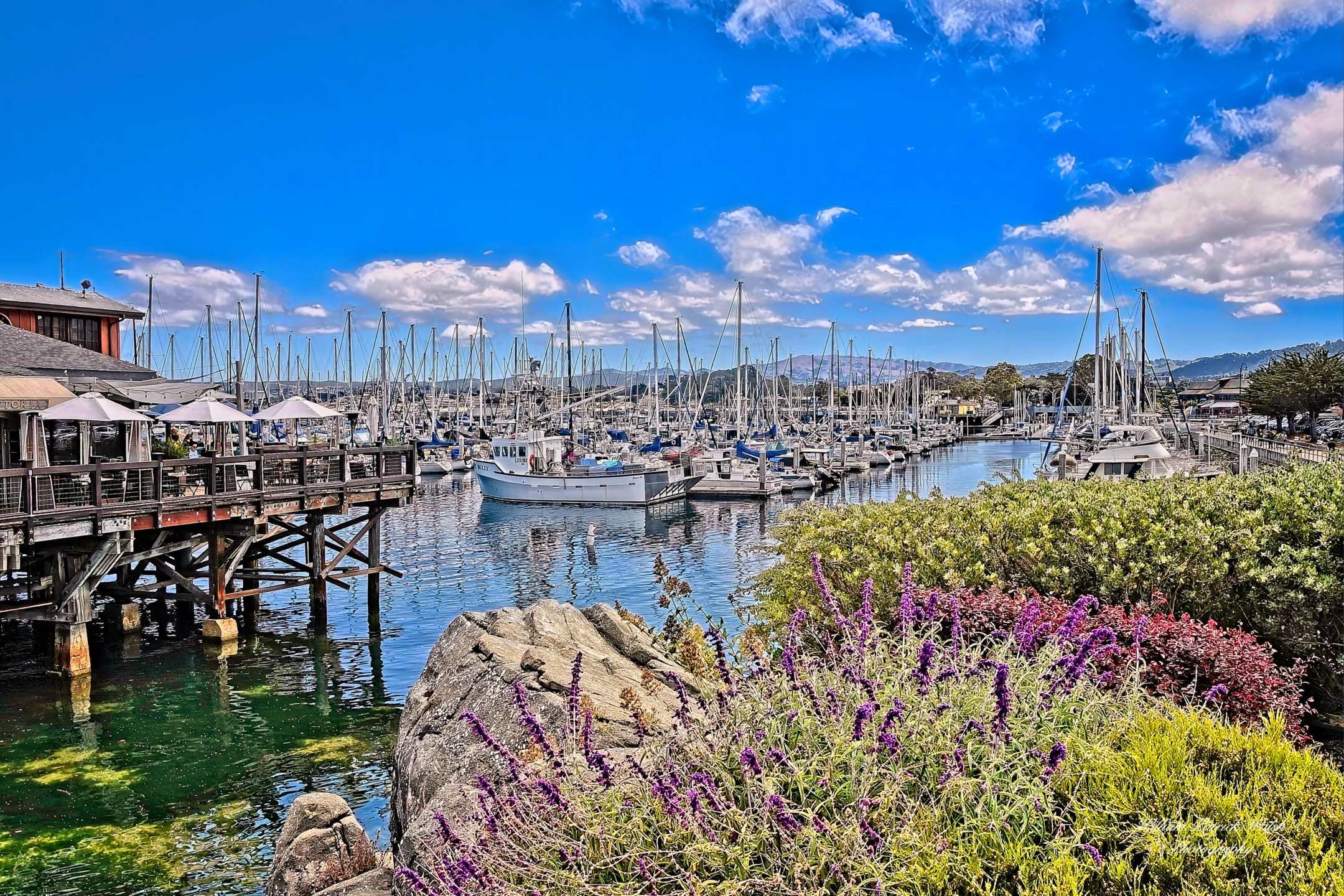 Monterey Harbor (12x18)