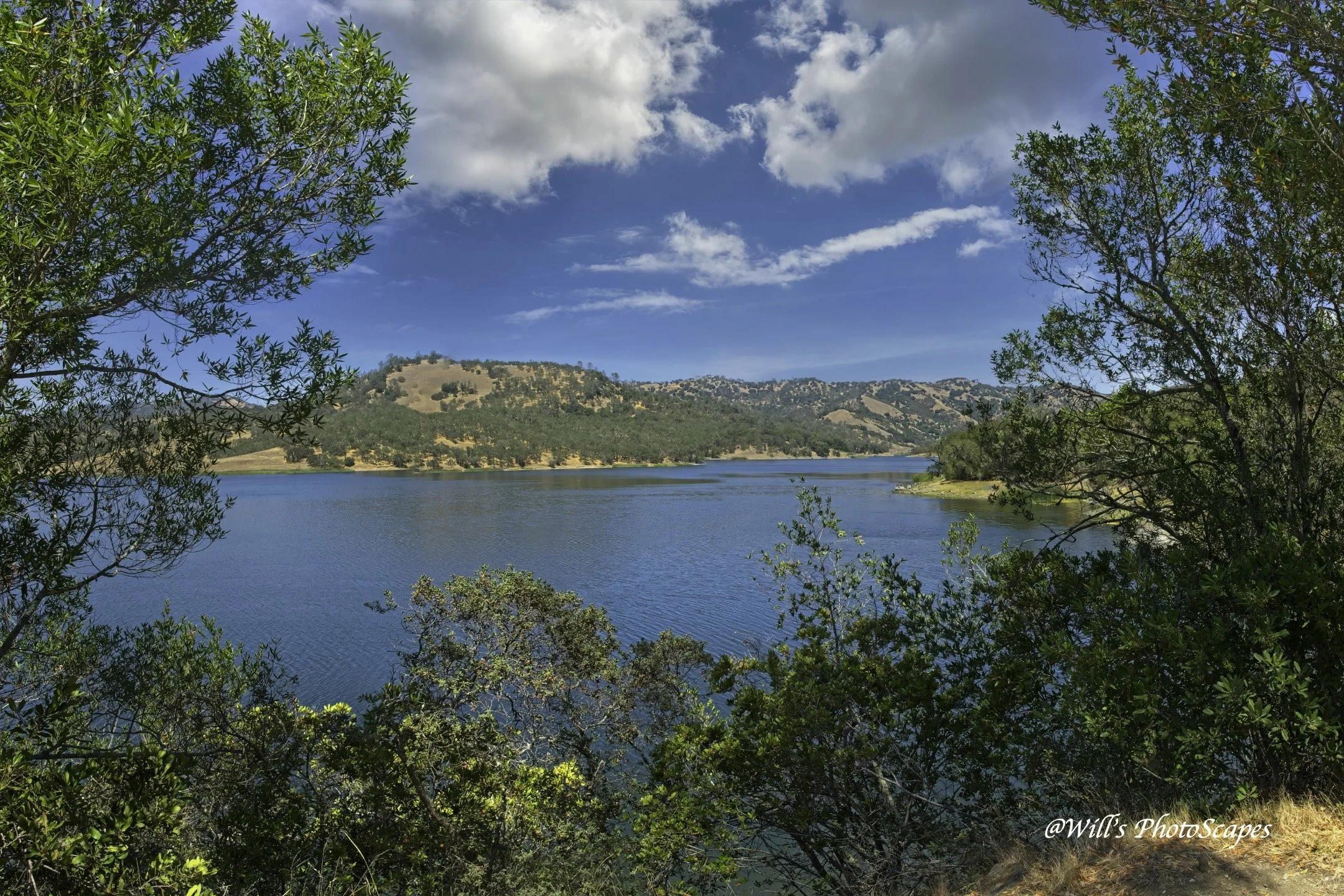 Napa Lake (12x18)