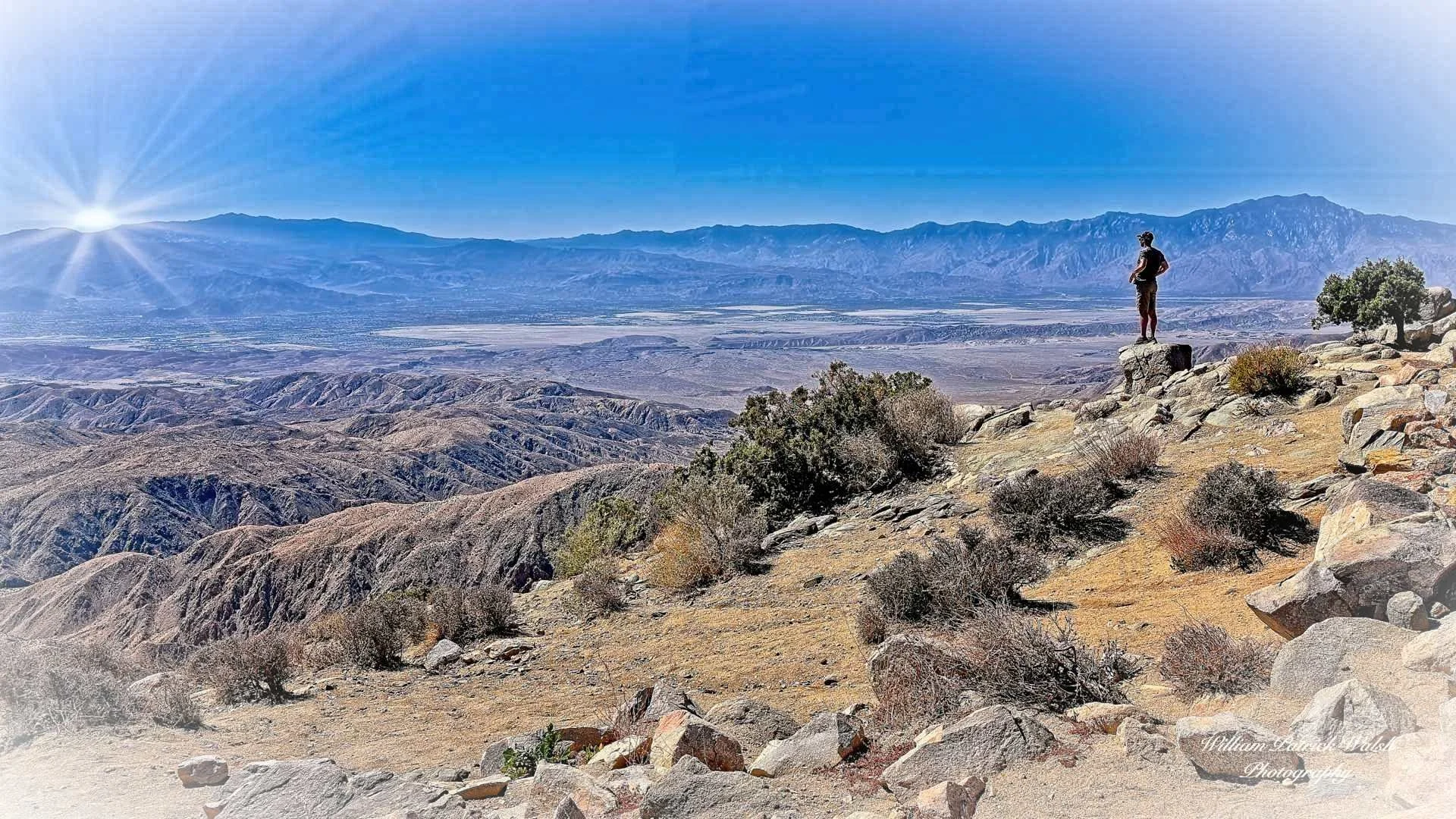 Gazing Into the Valley (9x16)