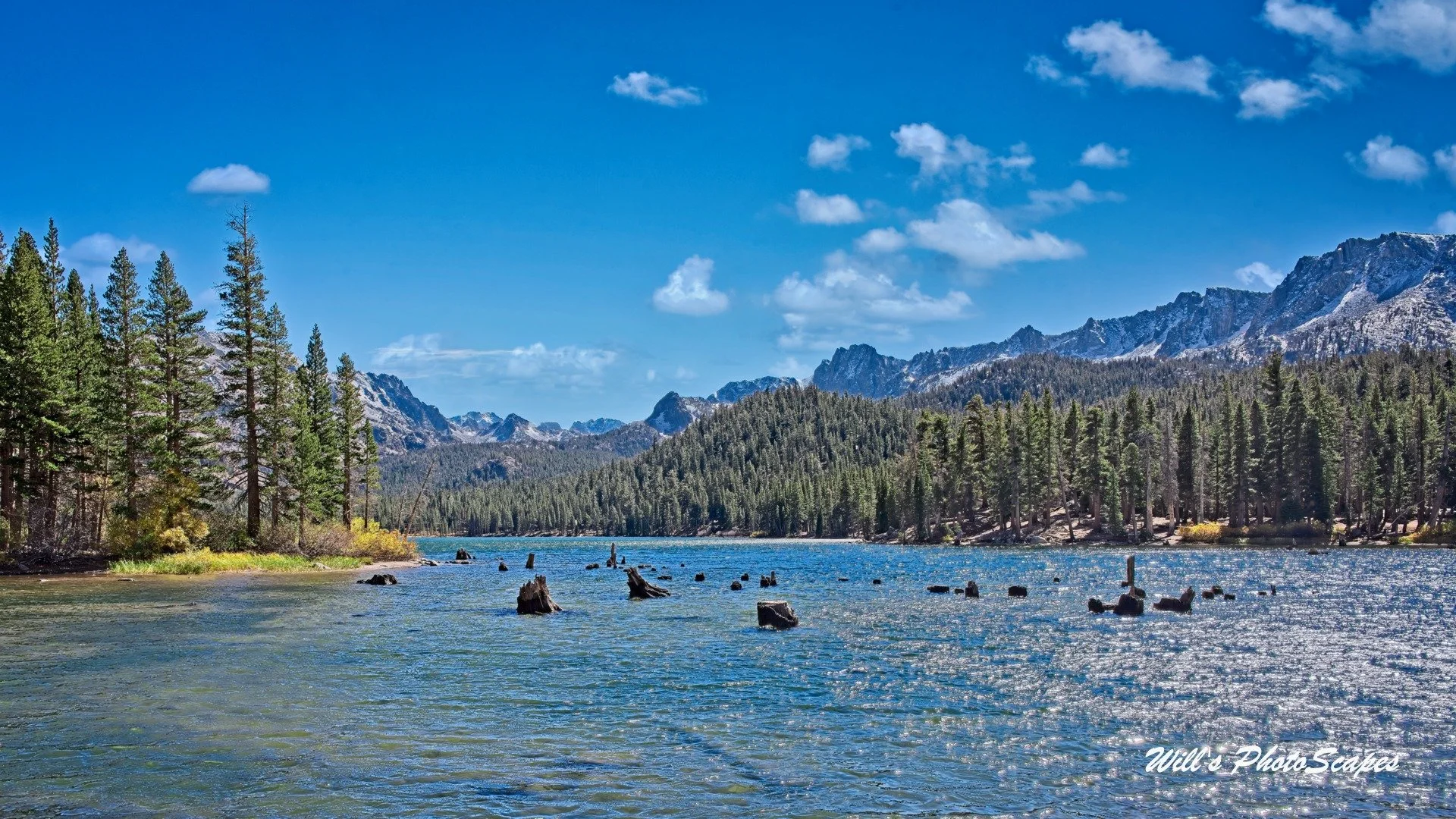 Lake Mary (9x16)