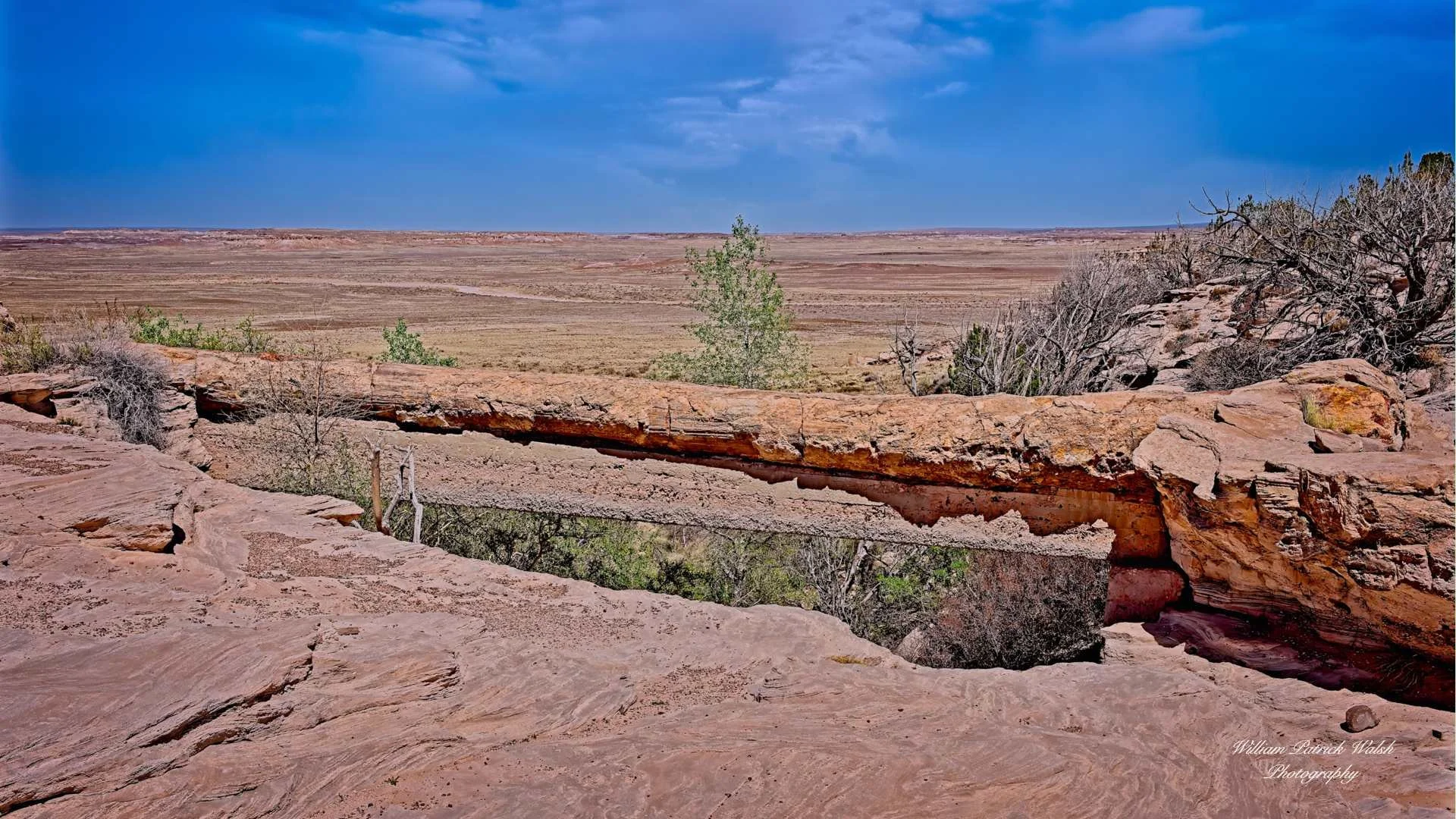 Agate Bridge (9x16)