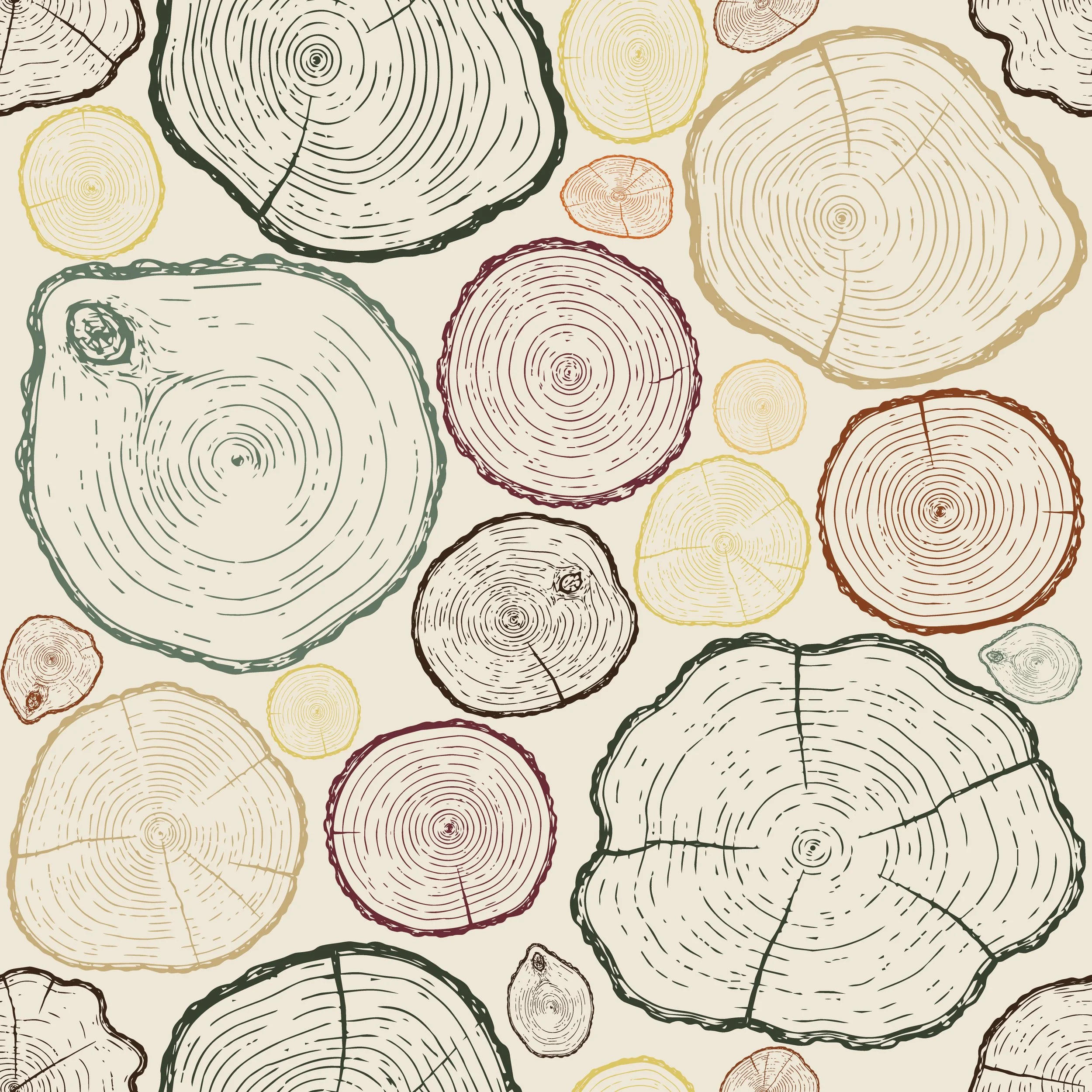 Pattern of various colored tree cross-sections illustrating growth rings, laid out in a random pattern against a light background.