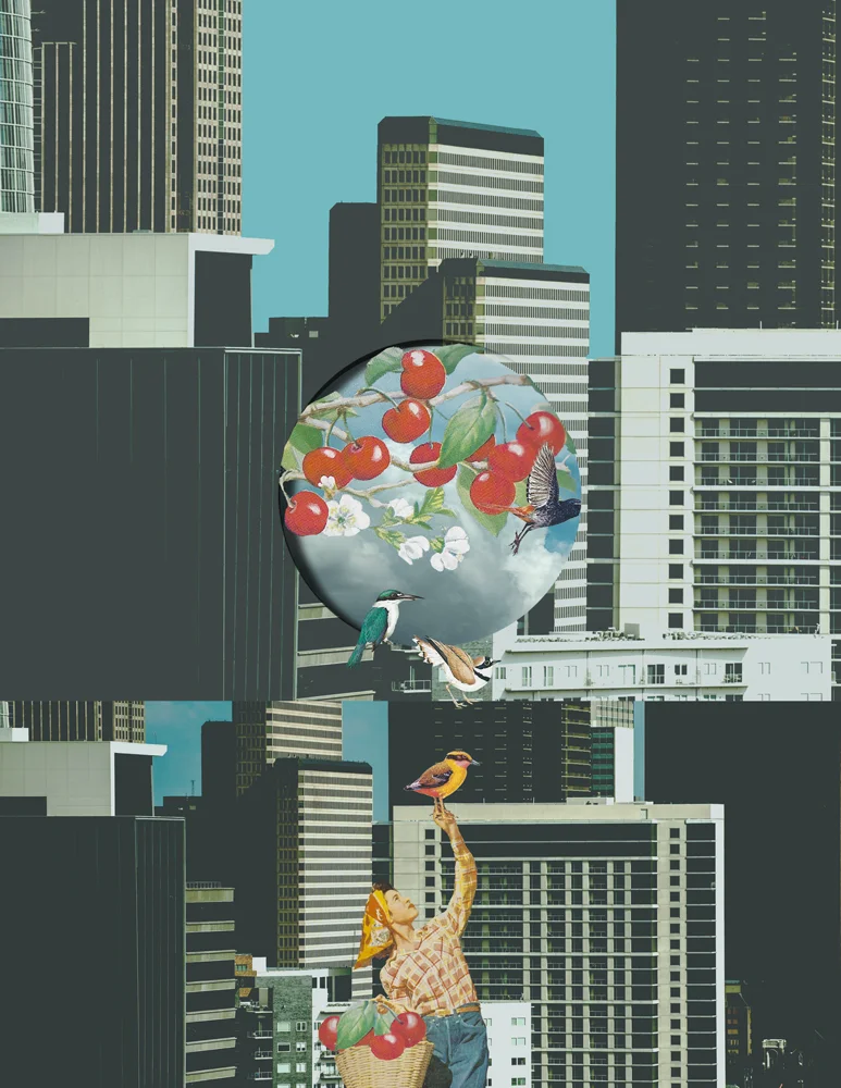lovebirds&cherries-2.jpg