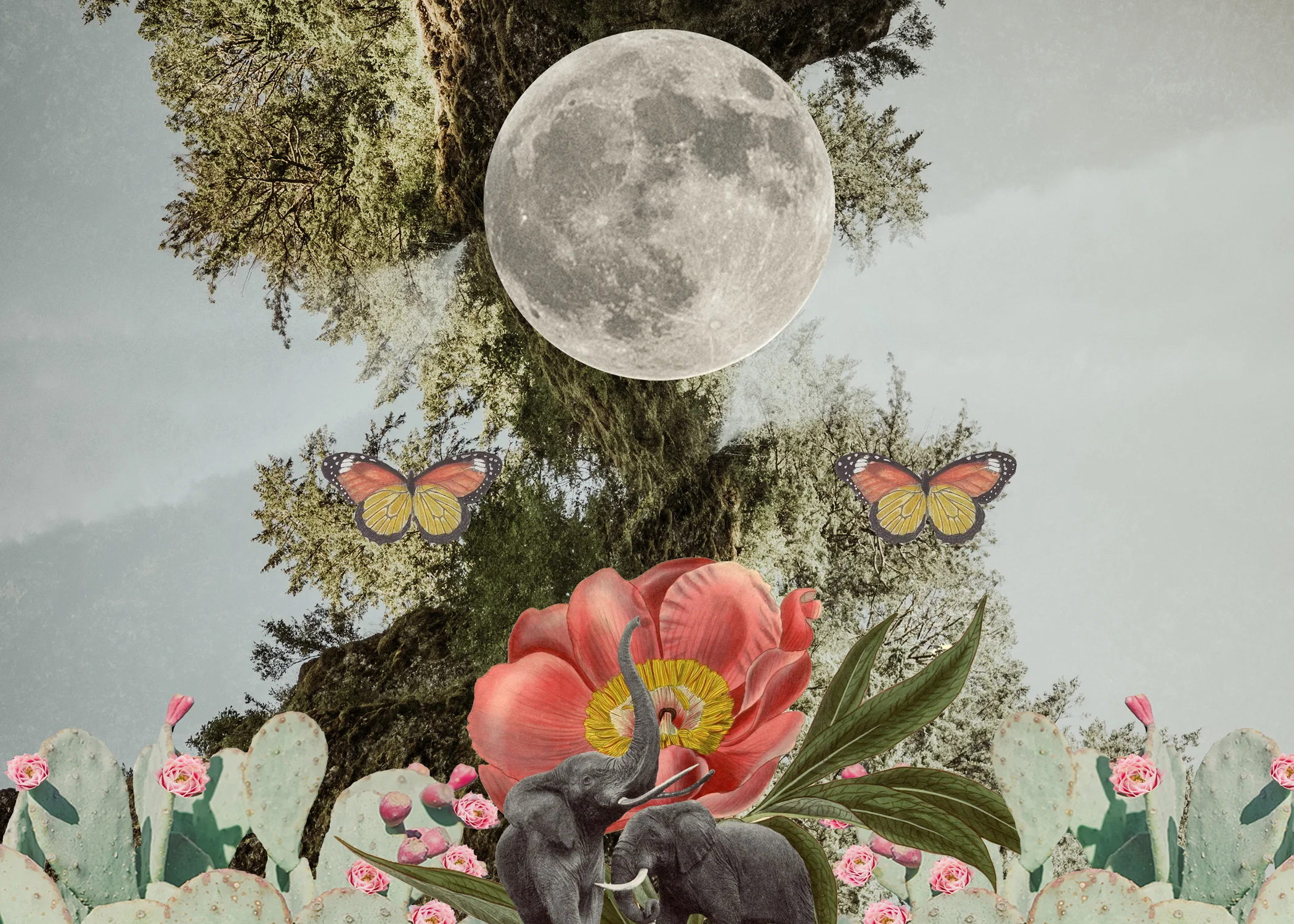 Mother&Moon&Balance.jpg