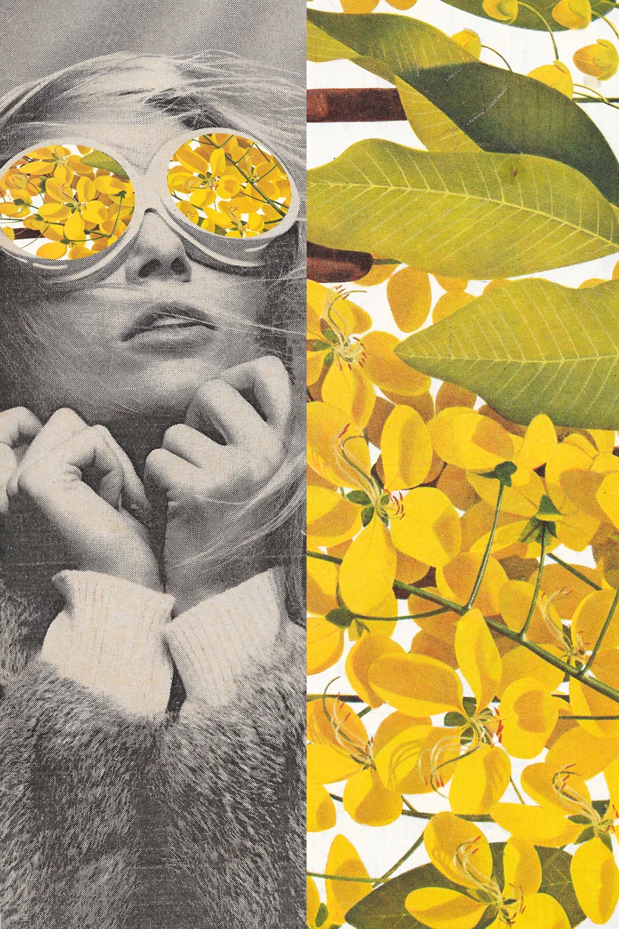 chilly-fall-glasses.jpg
