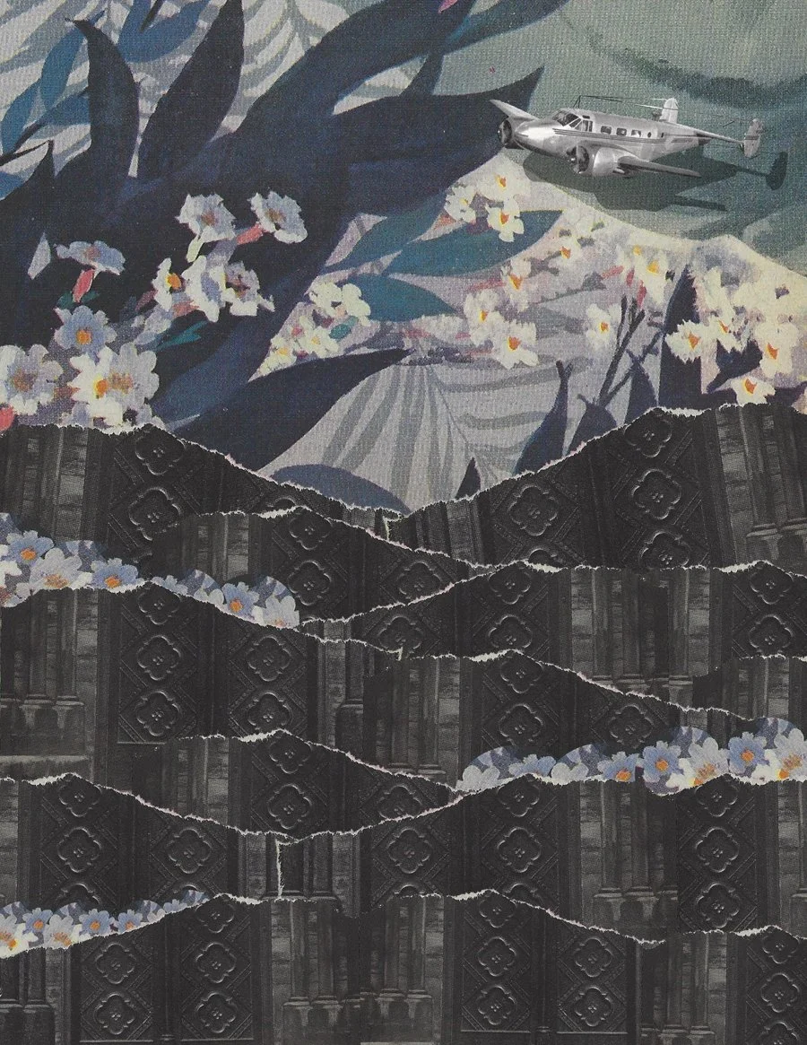mountainplaneflowers.jpg