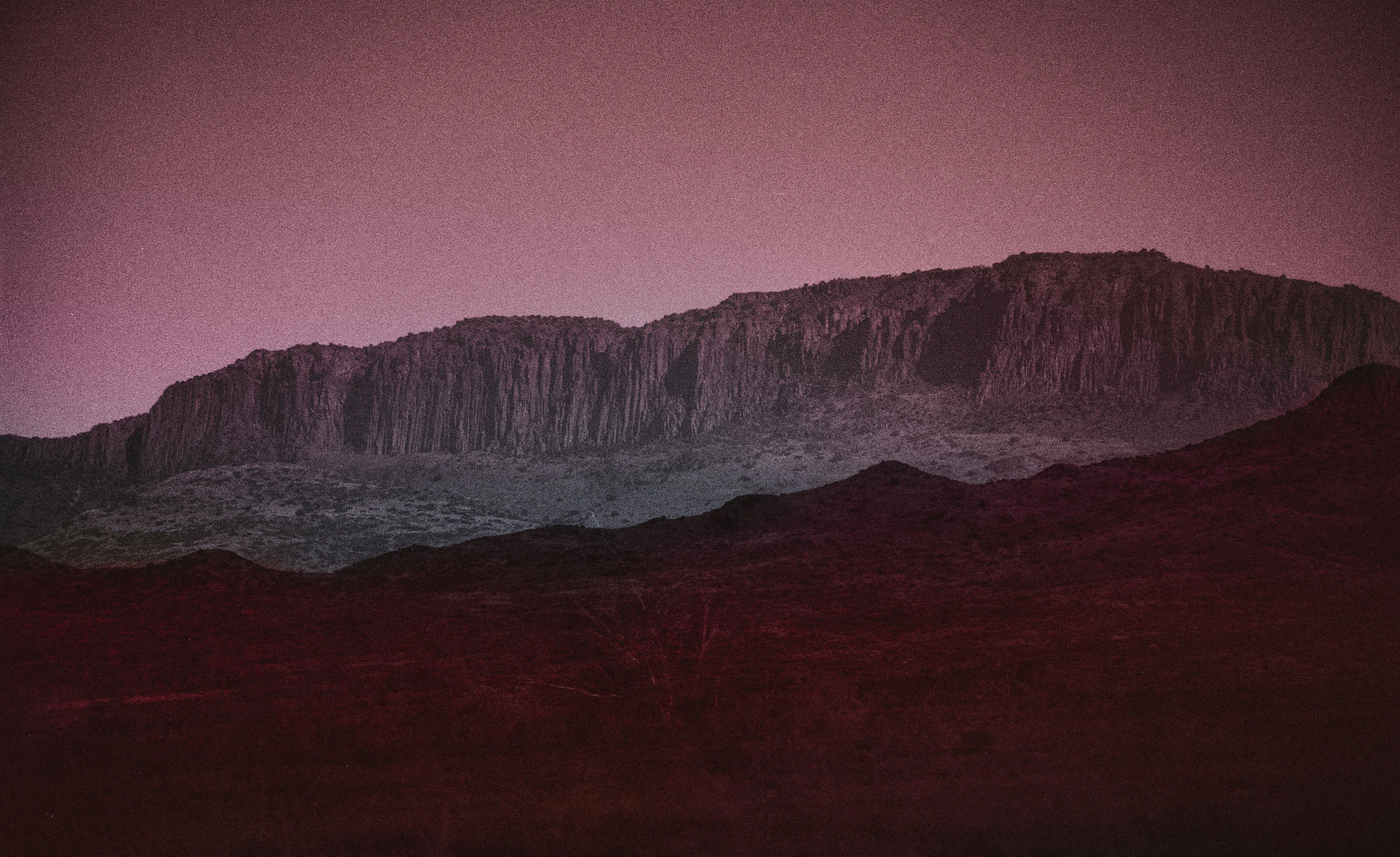 coloredmarfa-2.jpg