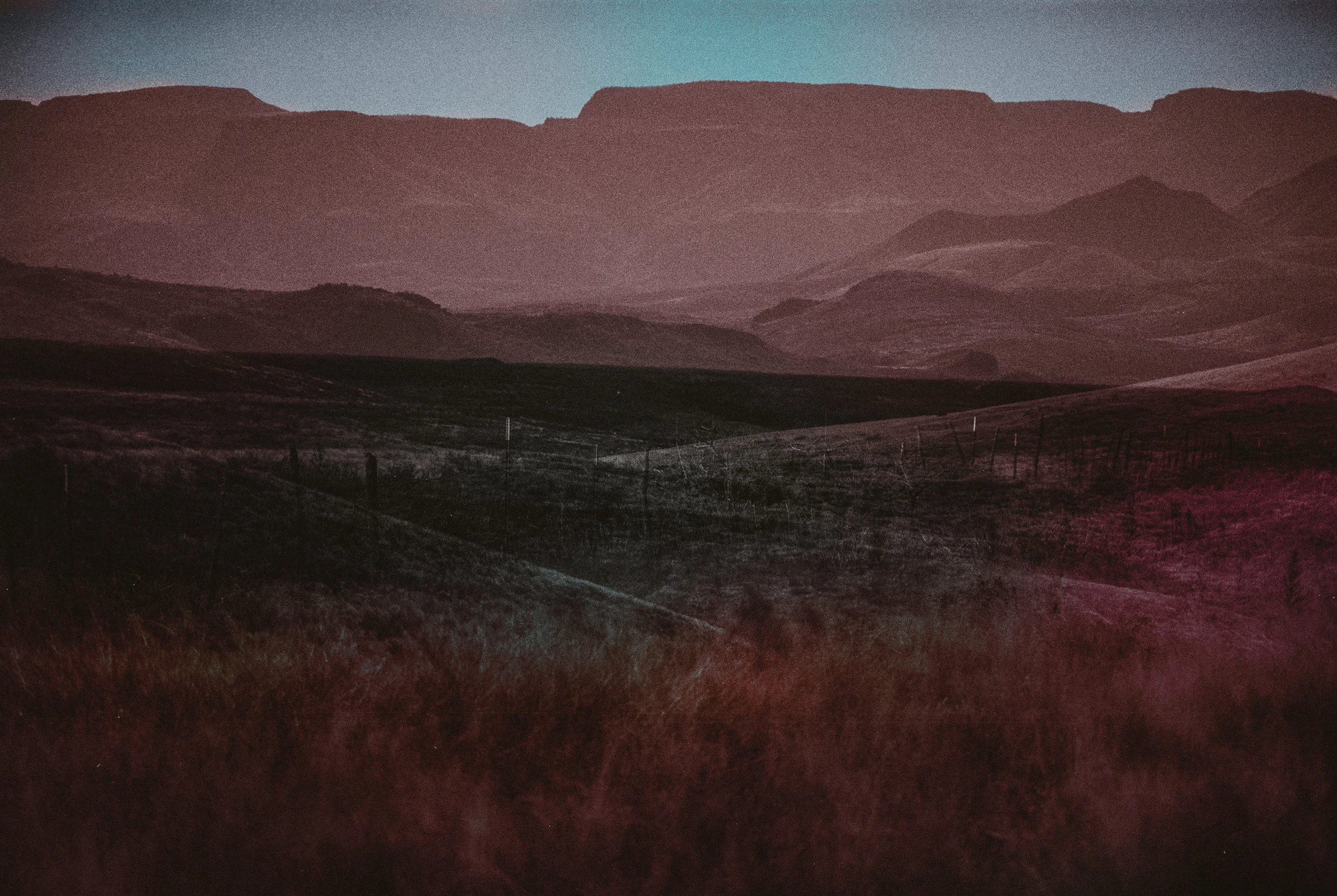 coloredmarfa-75.jpg