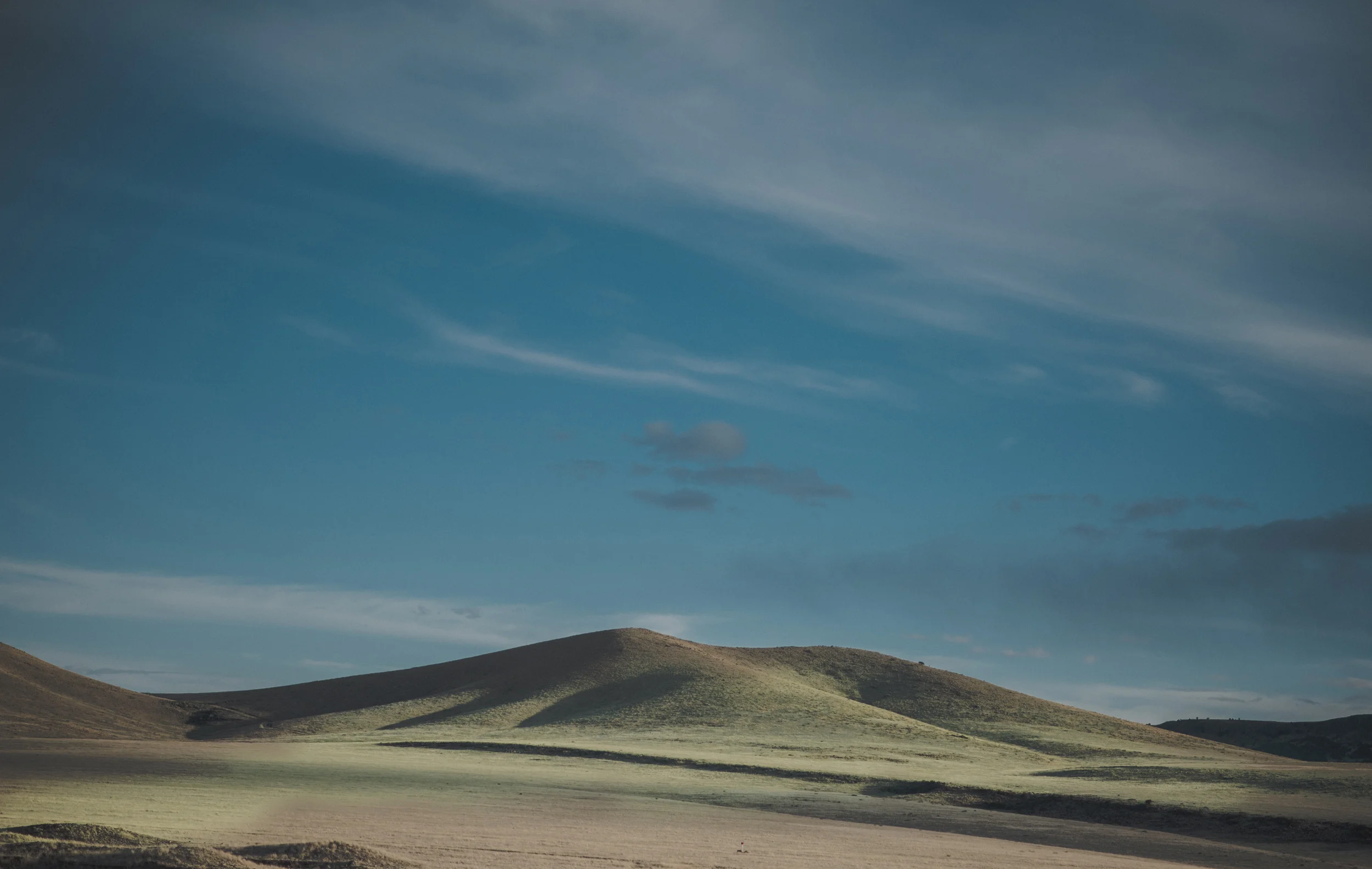 bypassed-5.jpg