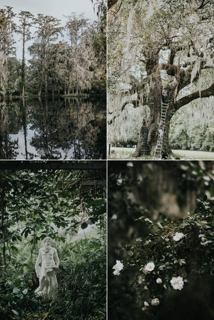 magnolia plantation weddings charleston sc 6.jpg