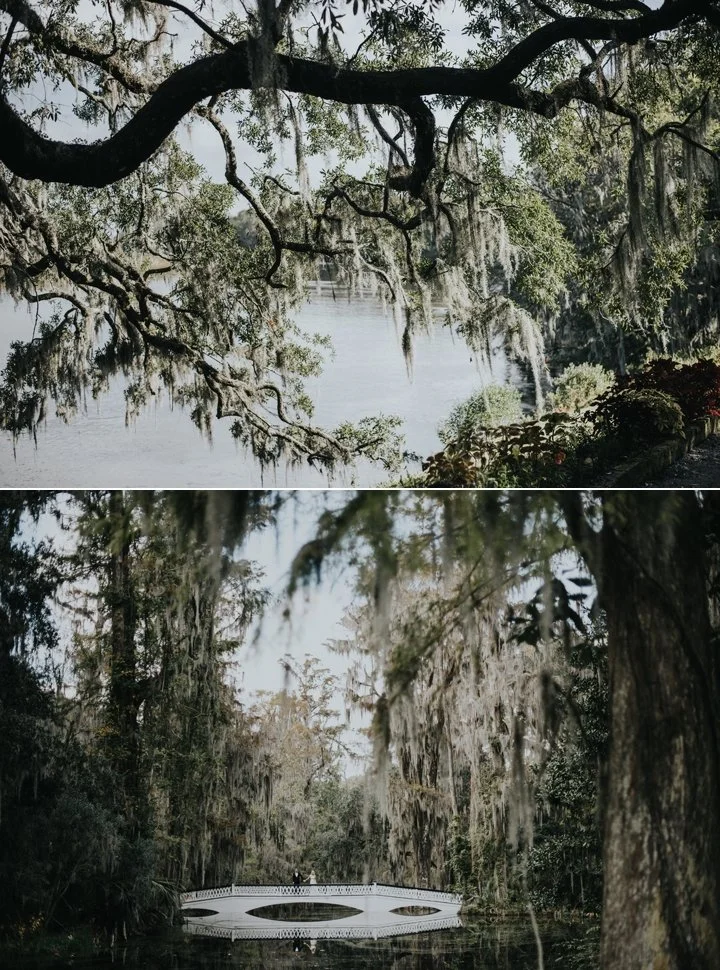 magnolia plantation weddings charleston sc 14.jpg