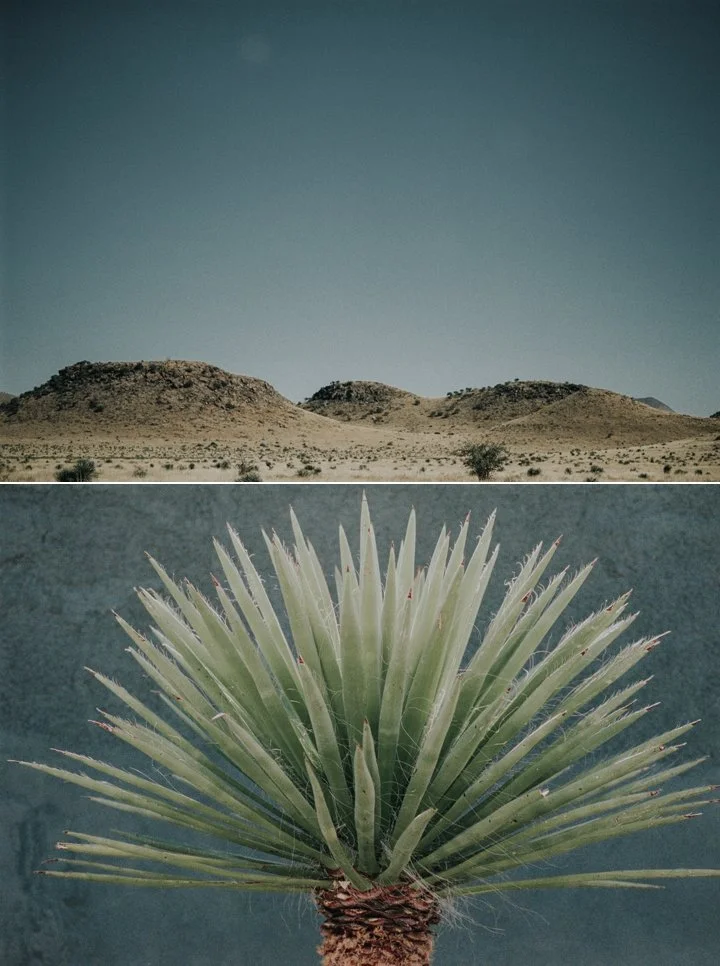 marfa-texas-weddings-photographers 3.jpg