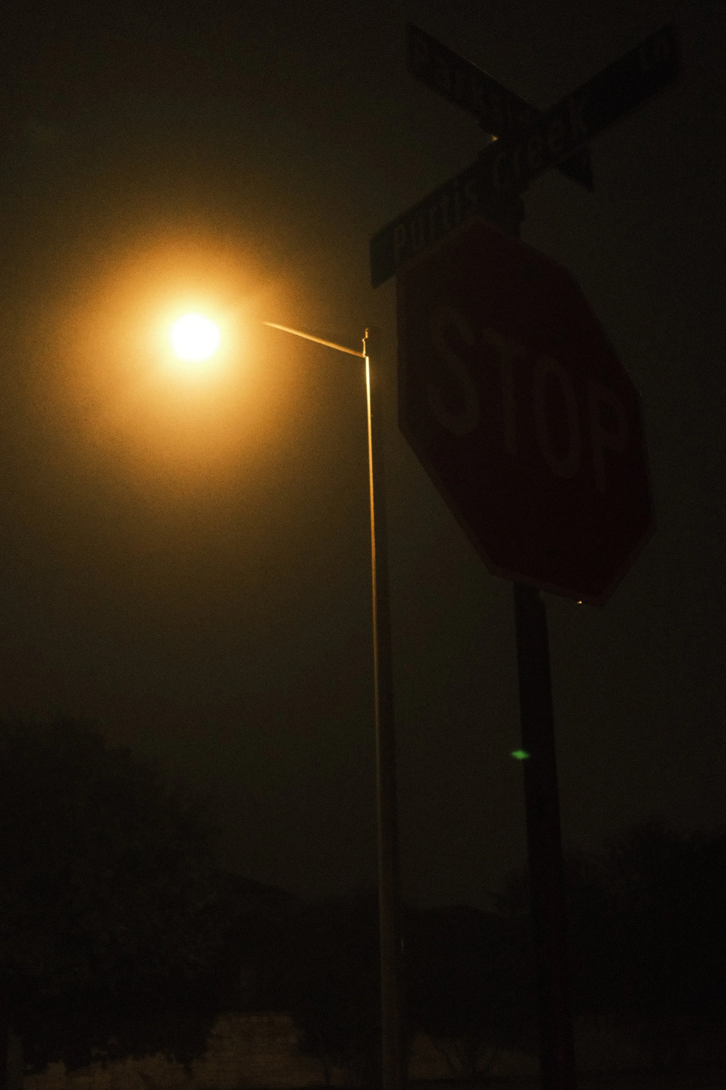 wanderings-44.jpg