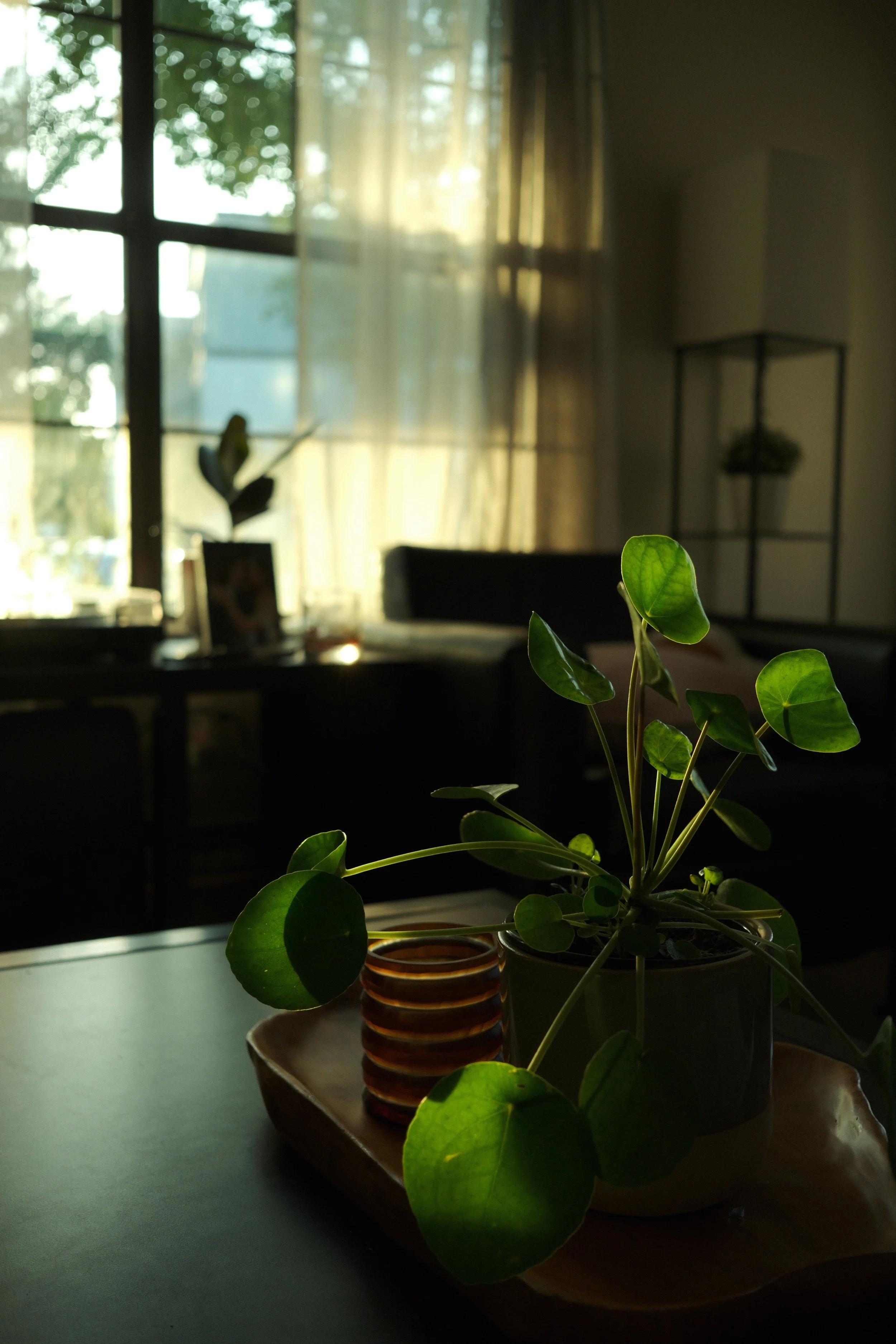 wanderings-15.jpg
