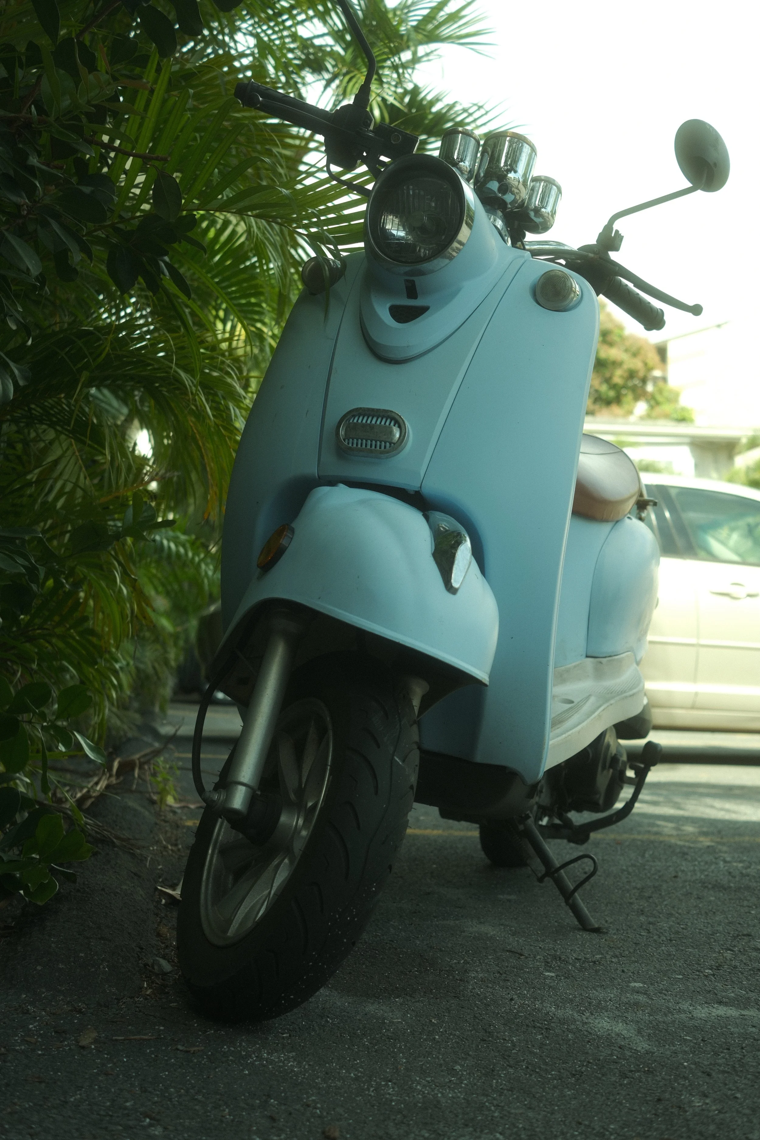 DSCF8336.JPG