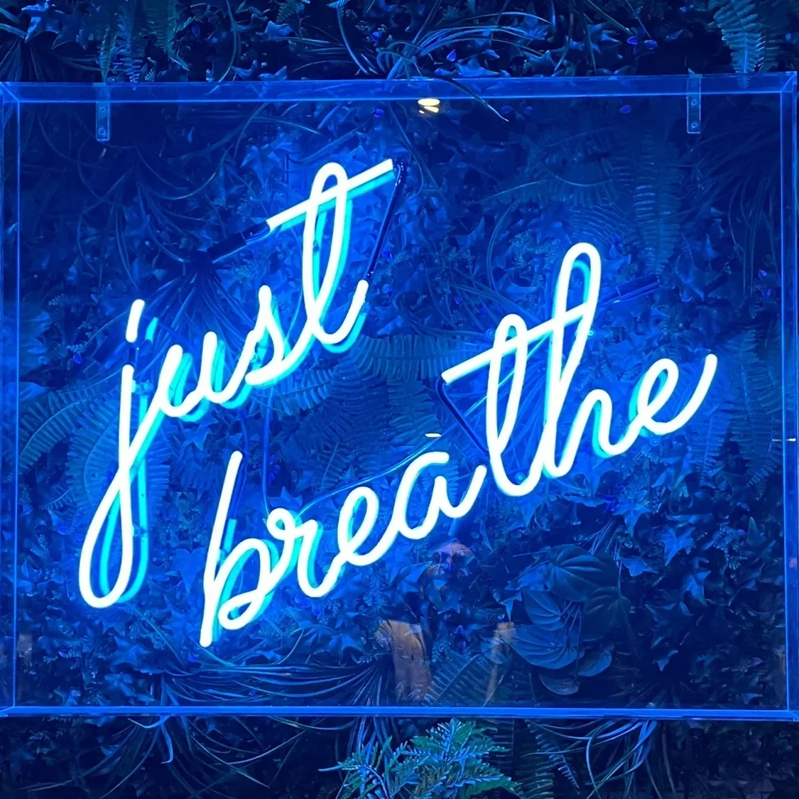 take+a+breath.webp