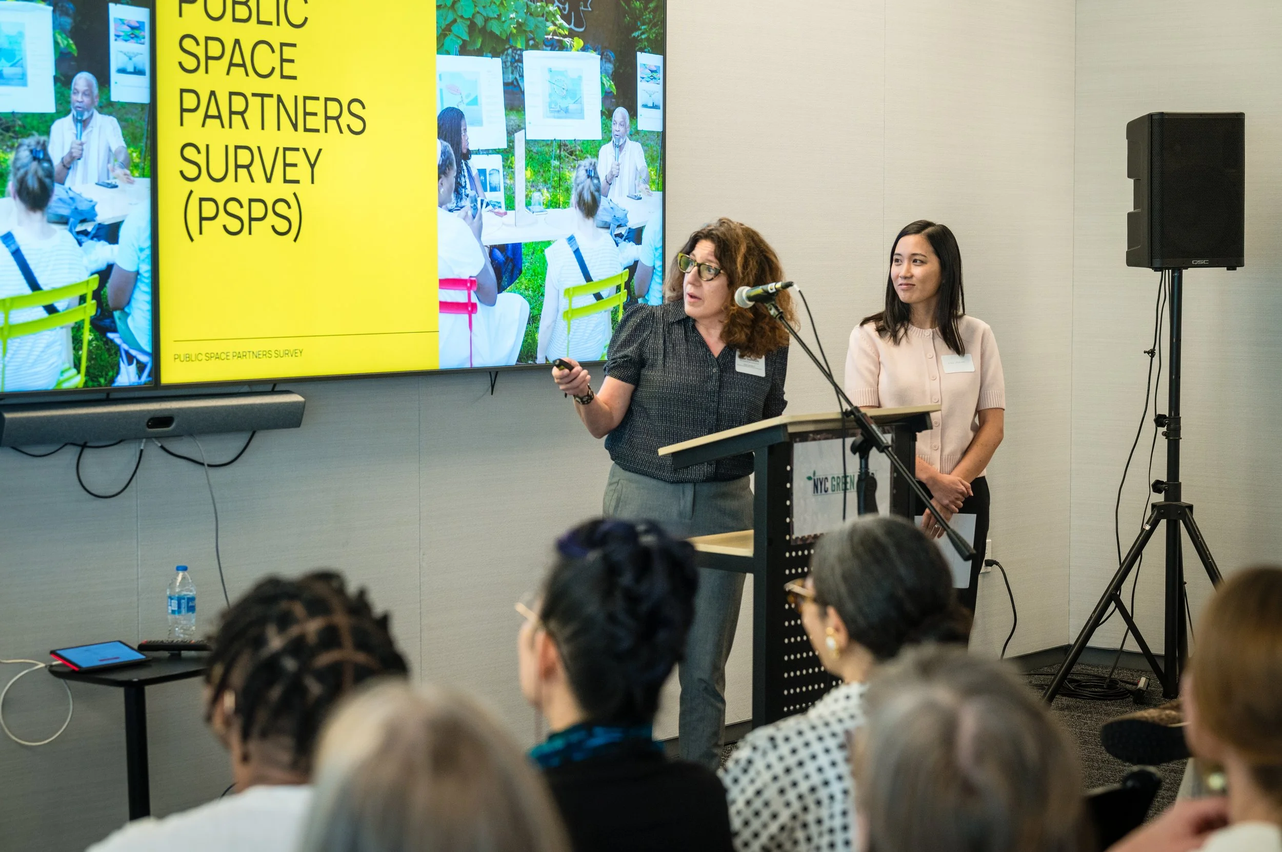 Public Space Partners Survey launching the project, 2026