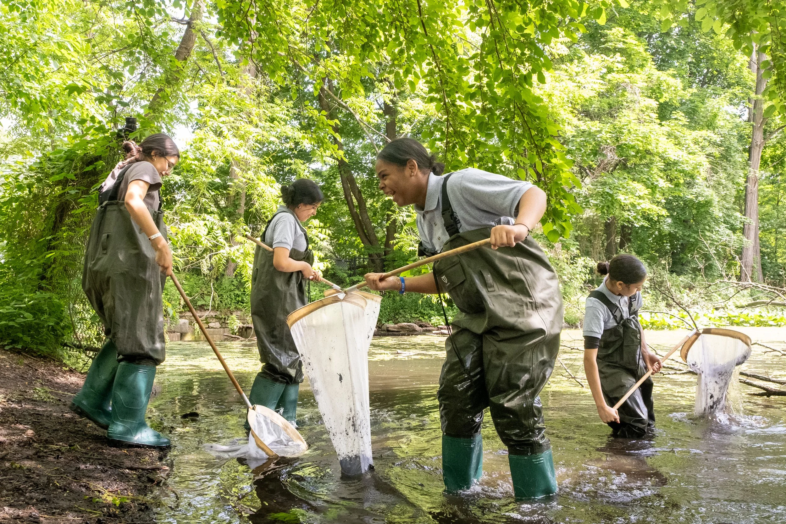 Four people in waders using nets on a shoreline.