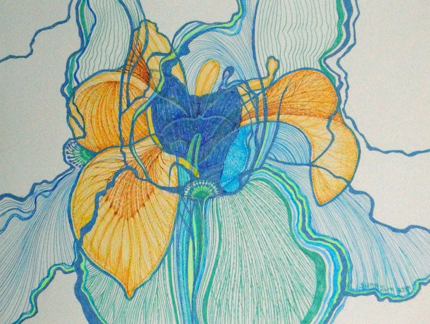Pen Drawing