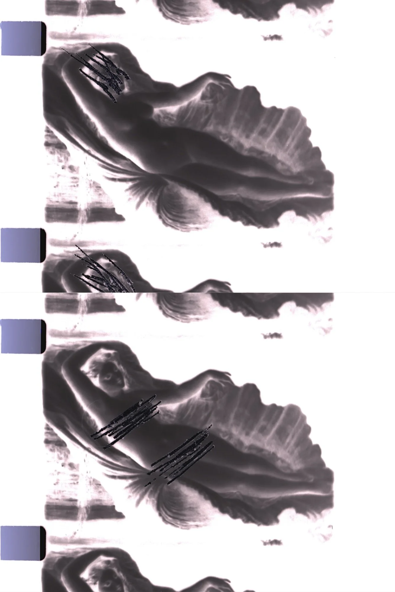 Untitled design - 1.jpeg