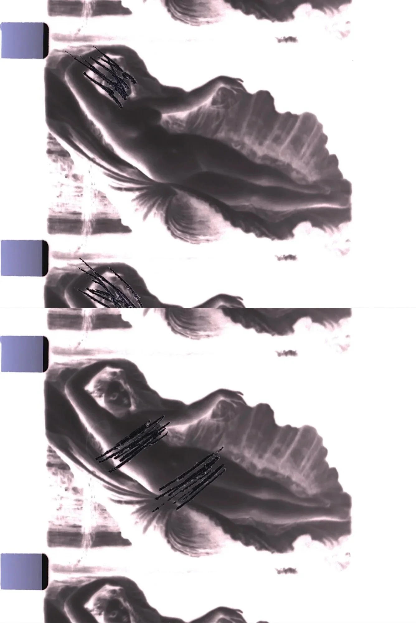 Untitled design - 1 - Anabelle Rosenberger.jpg