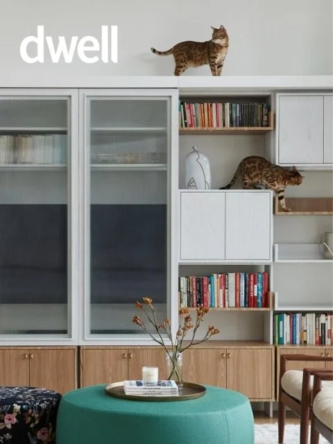 This Brooklyn Apartment Provides the Perfect Playground for a Pair of Bengal Cats