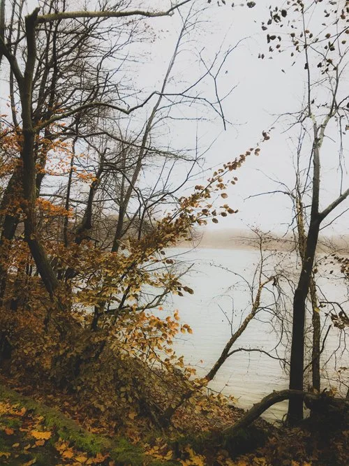 Pond - Leaves in Fall