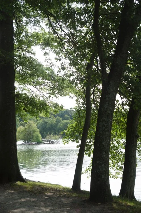 pond2_vert.jpg