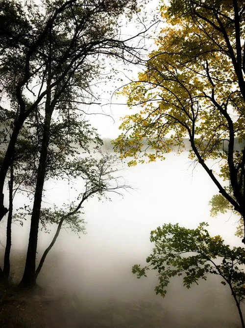 Foggy Pond